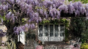 A garden with a pergola covered in purple flowers, a stone wall, and a white building with windows. There are metal chairs with red cushions and a table in the foreground. - Maso di Villa (Susegana)