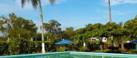 Outdoor pool, pool loungers