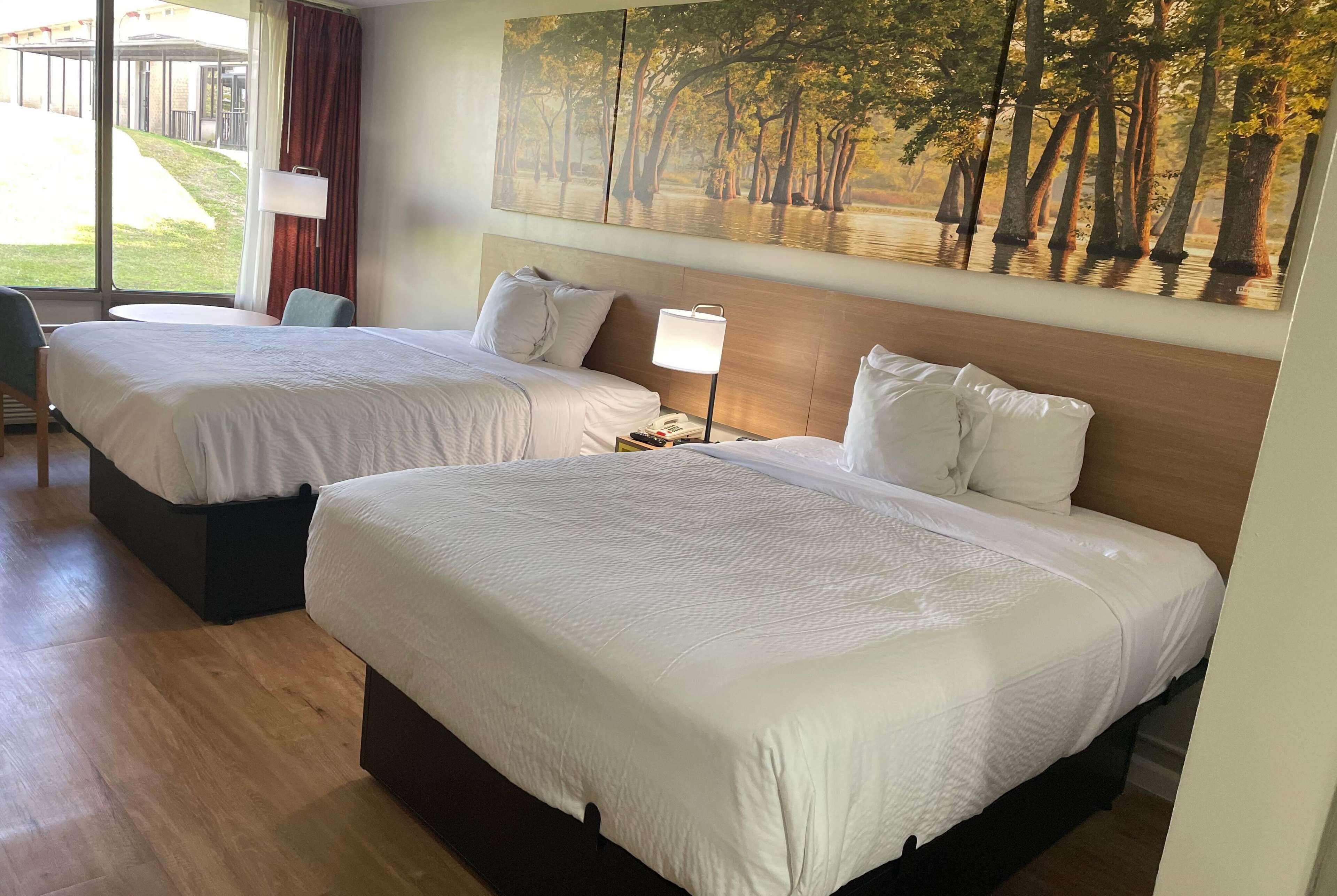 A hotel room with two beds, a nightstand, a lamp, and a painting of trees on the wall.