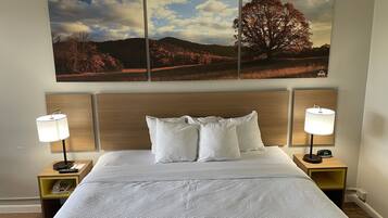 1 habitación, decoración personalizada, muebles diferentes y escritorio