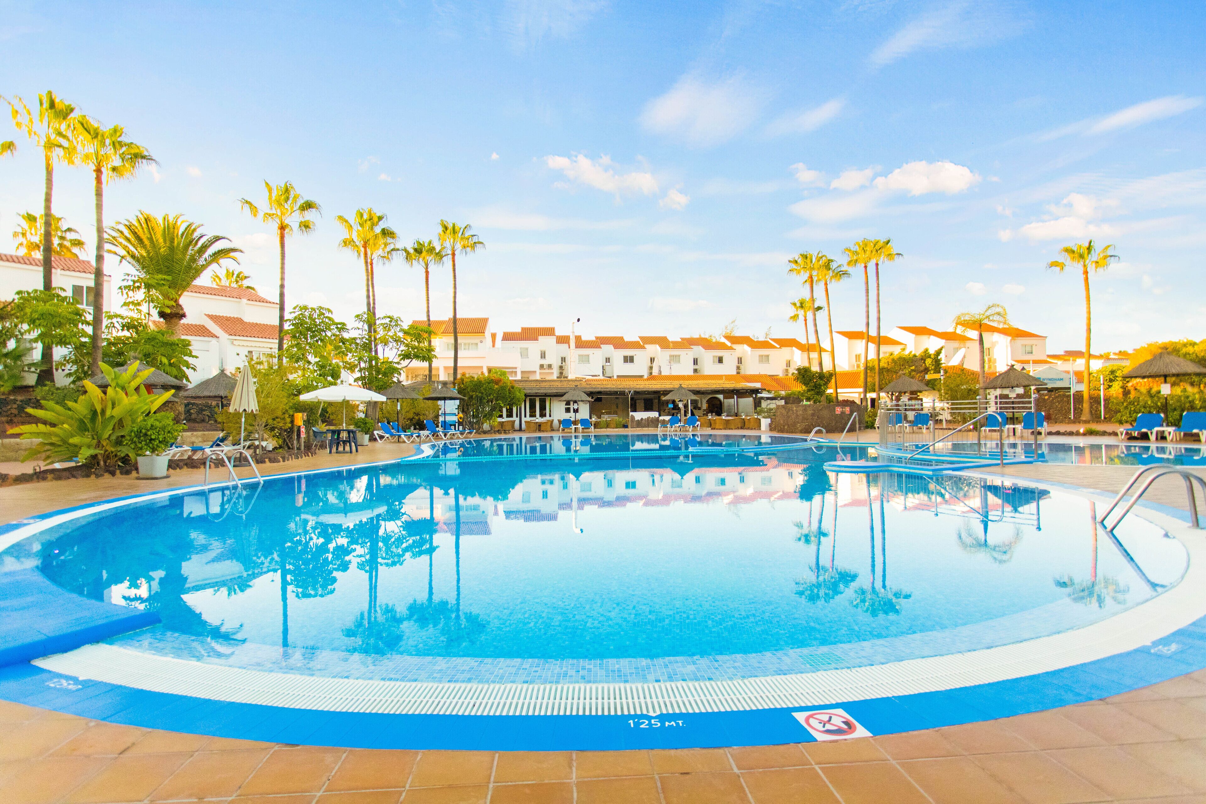A swimming pool surrounded by palm trees and lounge chairs, with a building in the background.