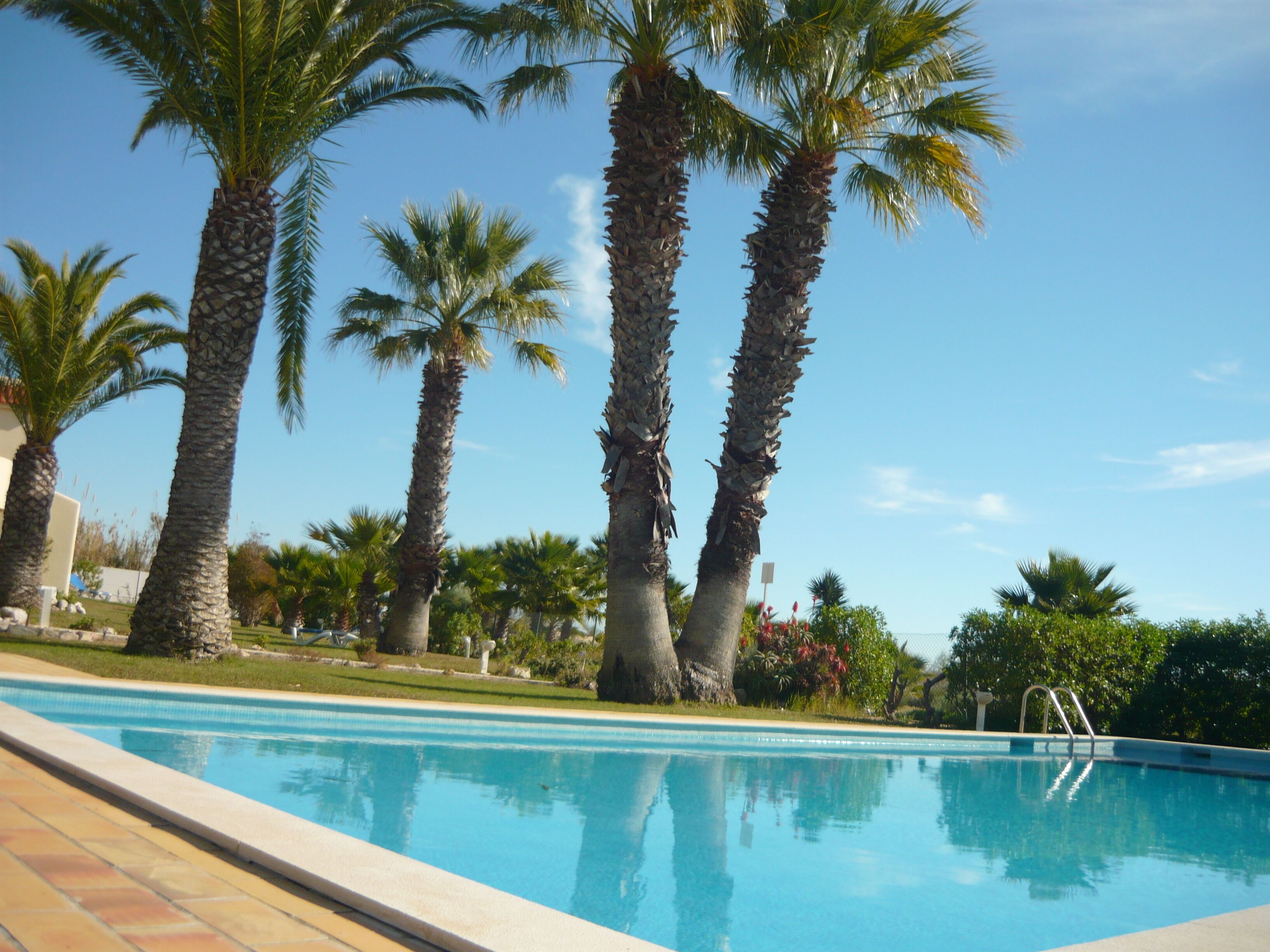 Una piscina al aire libre, sombrillas