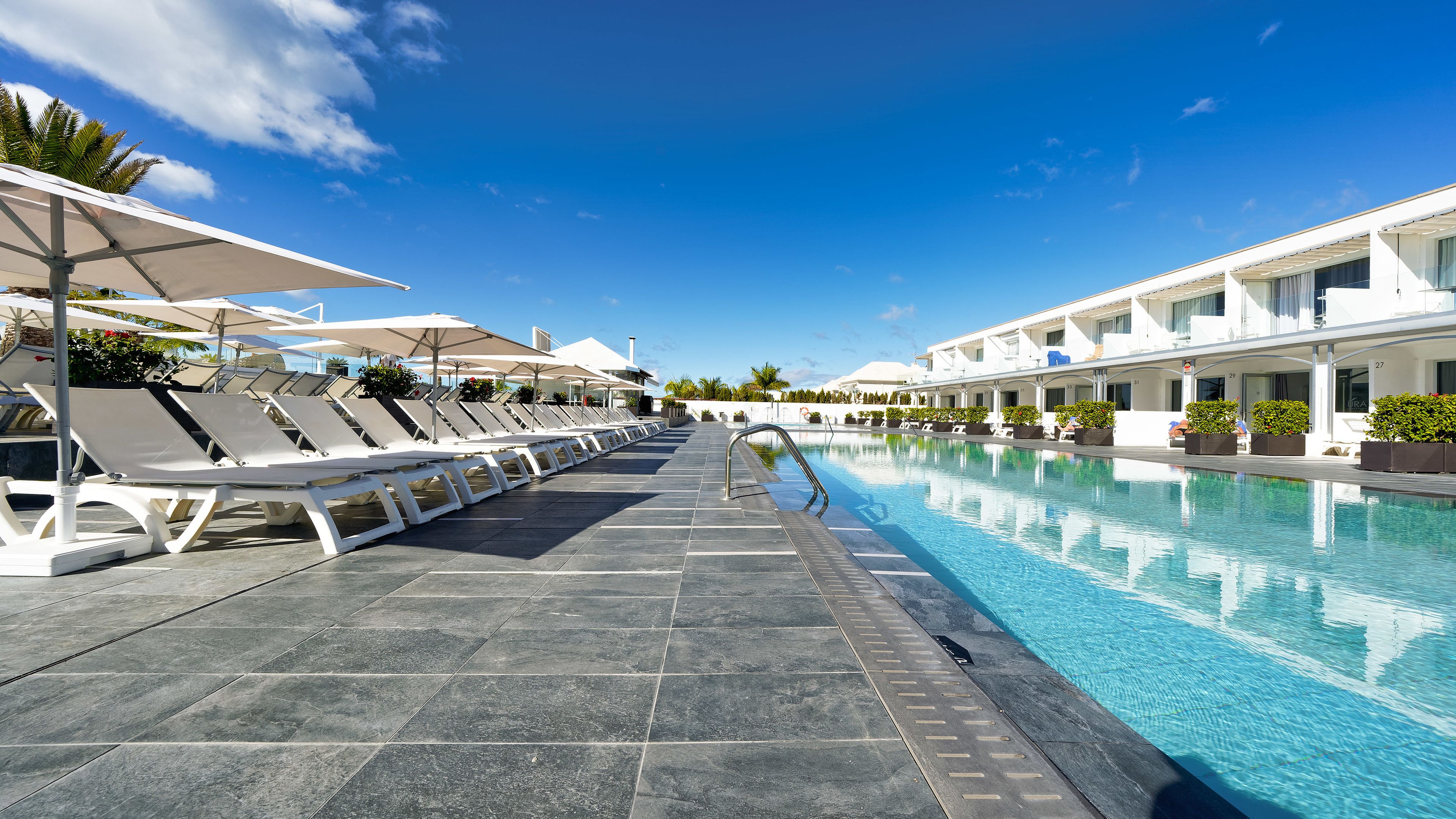 A poolside area with lounge chairs and umbrellas, a clear blue sky, and a modern building with numbered rooms.