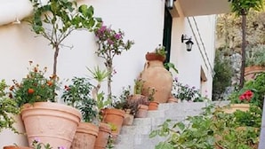 Una escalera con macetas de terracota que contienen diversas plantas y flores.