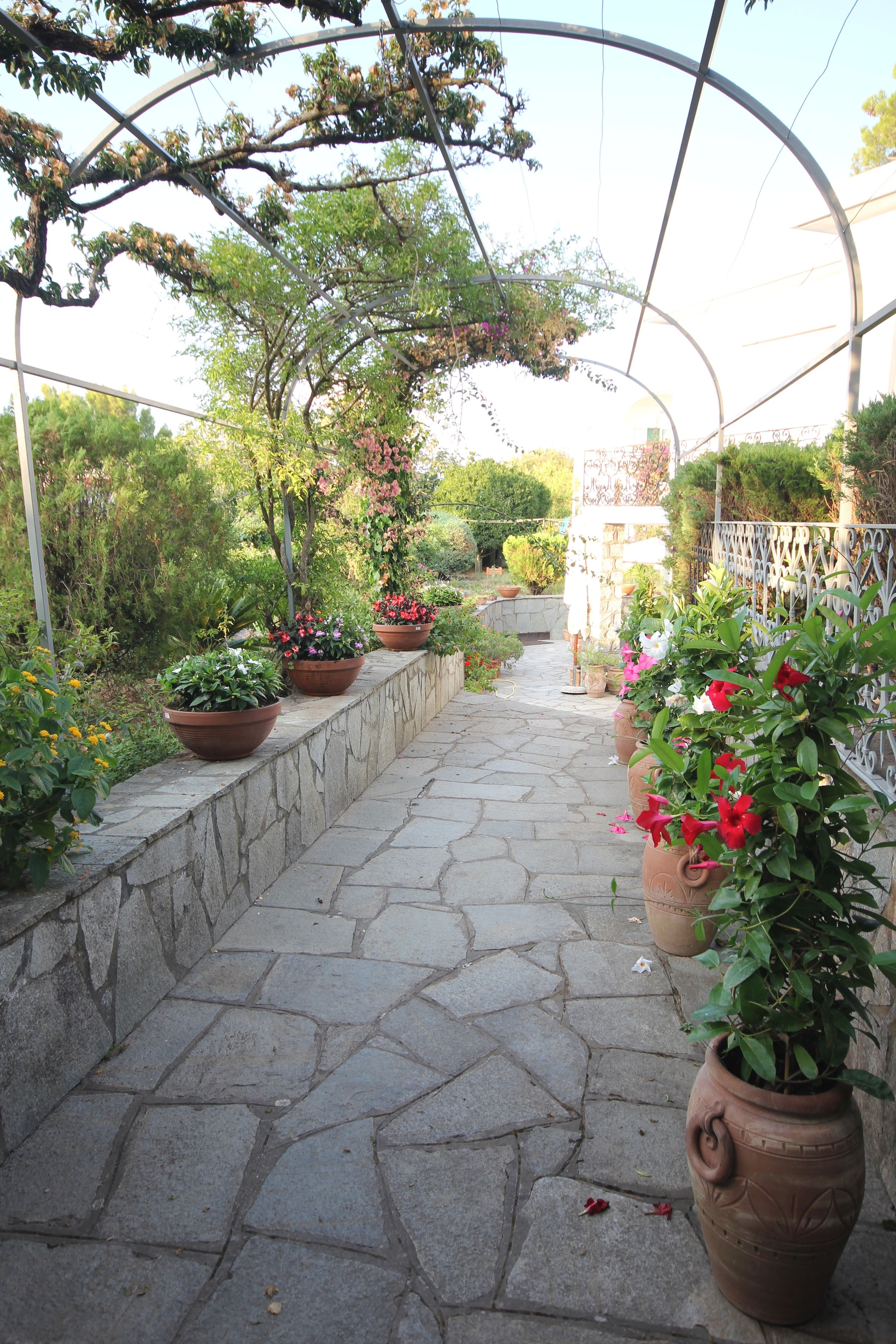 Photo - Cavalluccio Marino