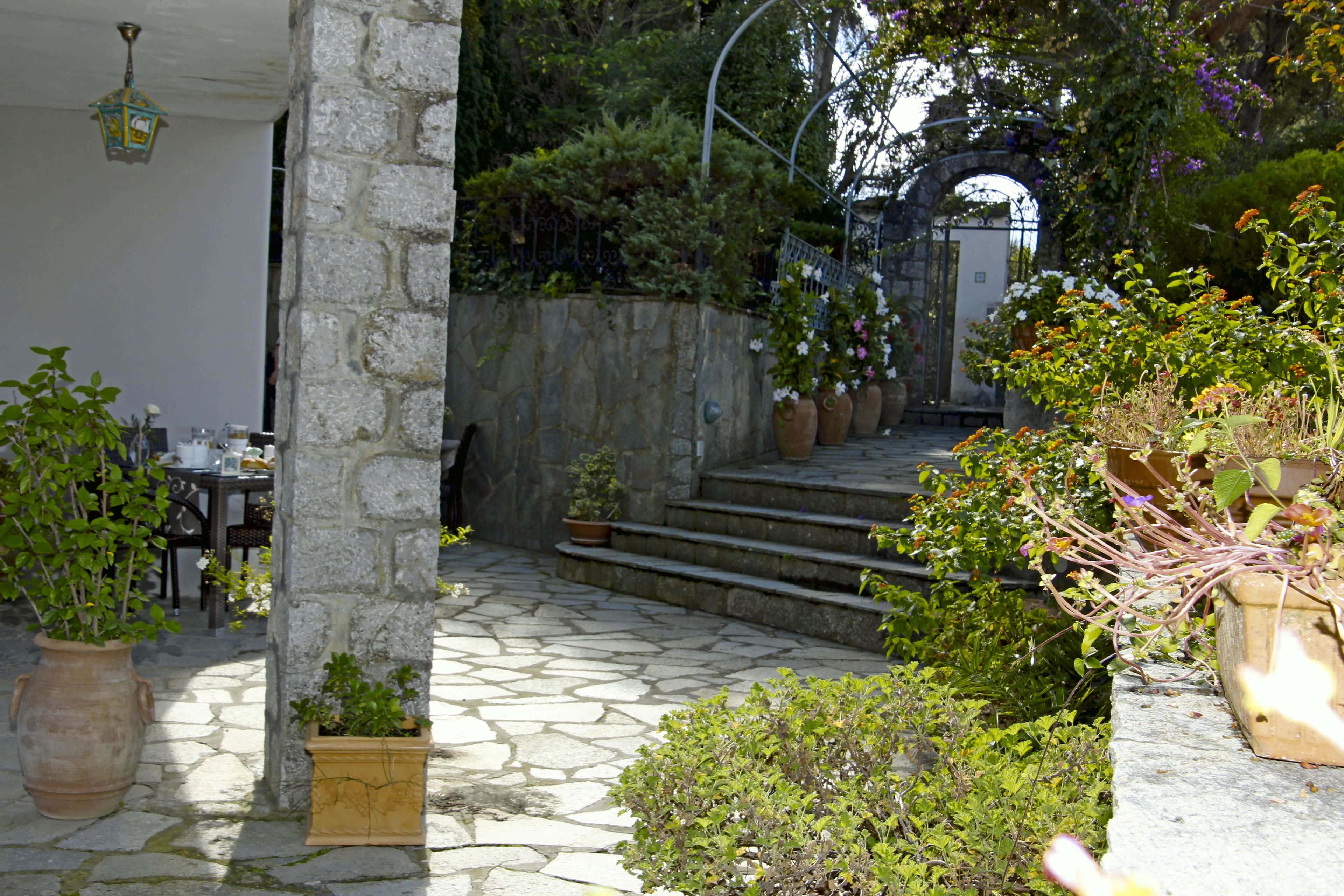 Photo - Cavalluccio Marino