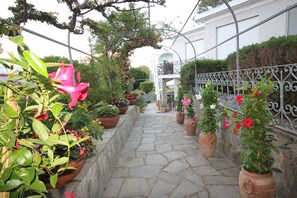 Exterior detail - Cavalluccio Marino (Anacapri)