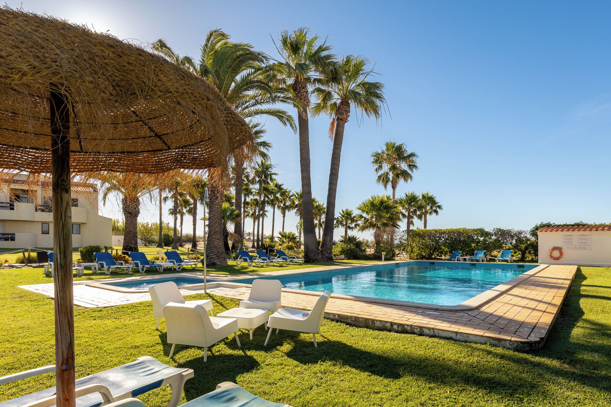 A pool area with lounge chairs, a thatched umbrella, and palm trees.