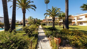 A pathway lined with palm trees leading to a building with a pool and lounge chairs. - Praia da Lota Resort – Hotel & Apartments (Vila Real Santo Antonio)