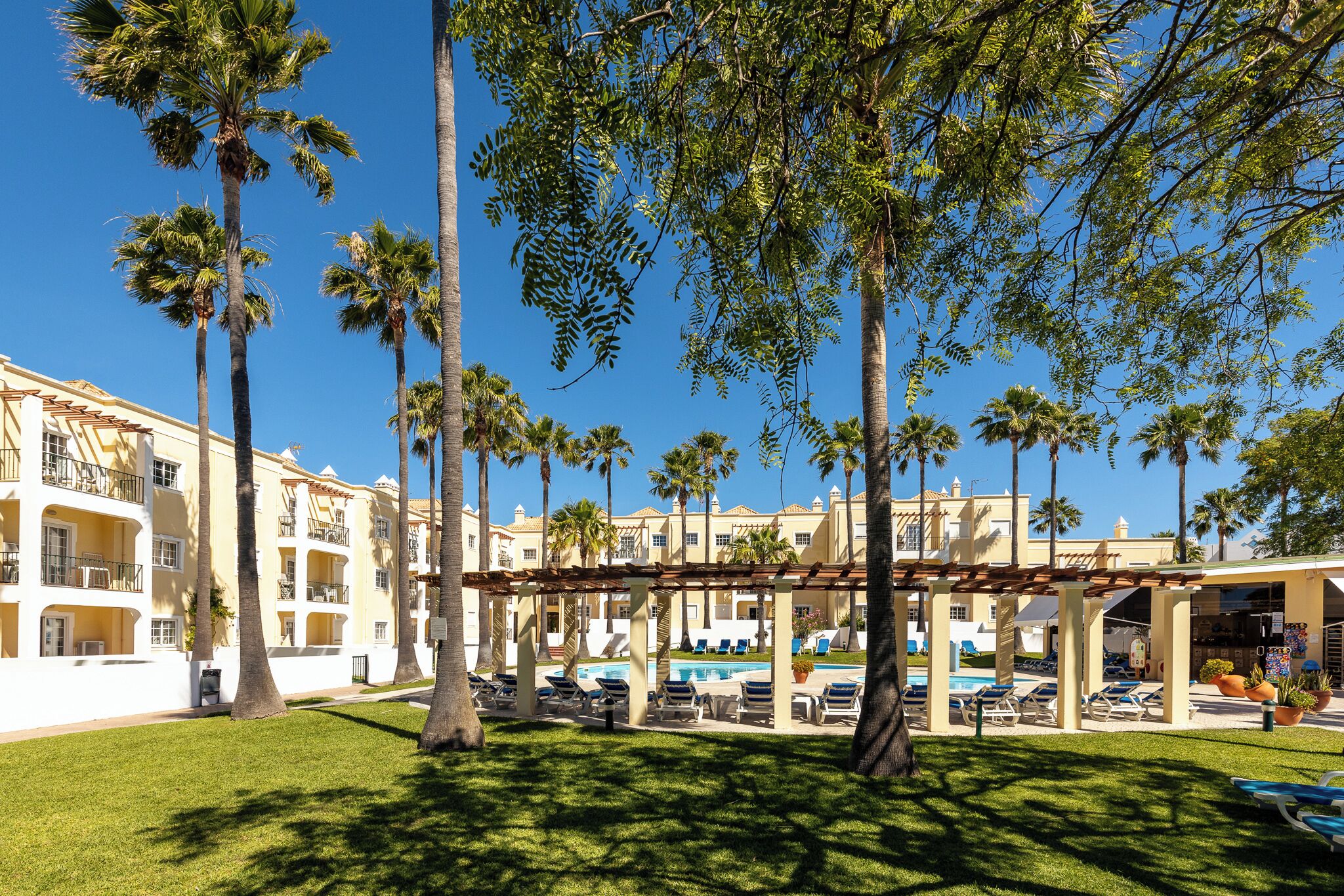 Un hotel con zona de piscina, palmeras y un cielo azul despejado.
