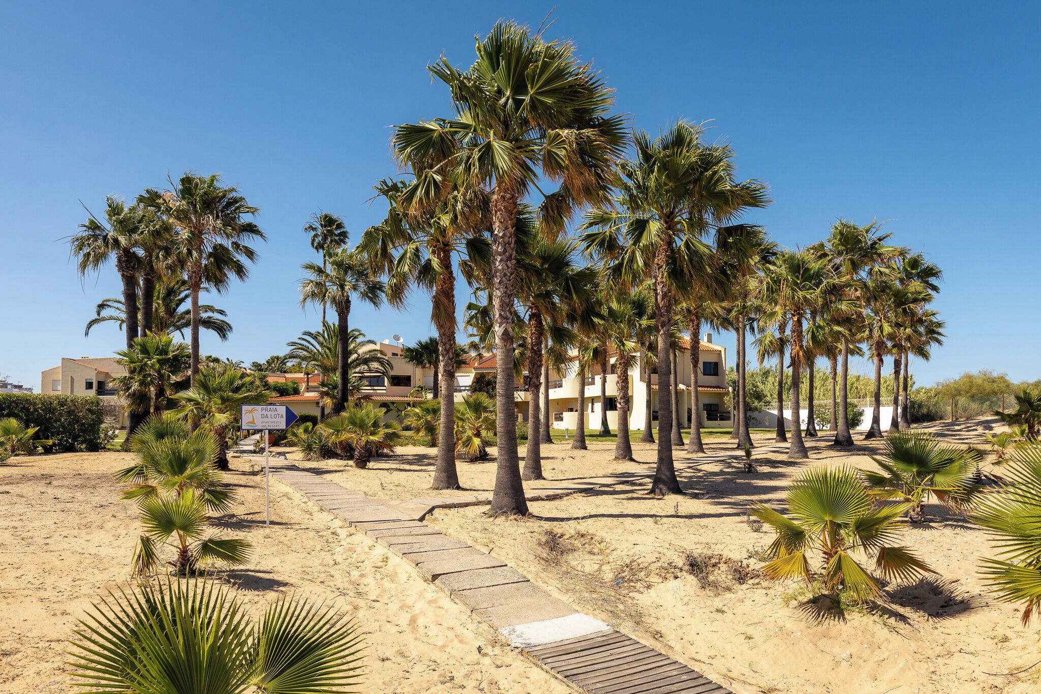 On the beach, white sand