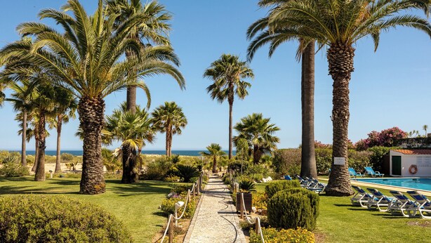A pathway leading to a pool area surrounded by palm trees and a clear view of the ocean. - Praia da Lota Resort – Hotel & Apartments (Vila Real Santo Antonio)