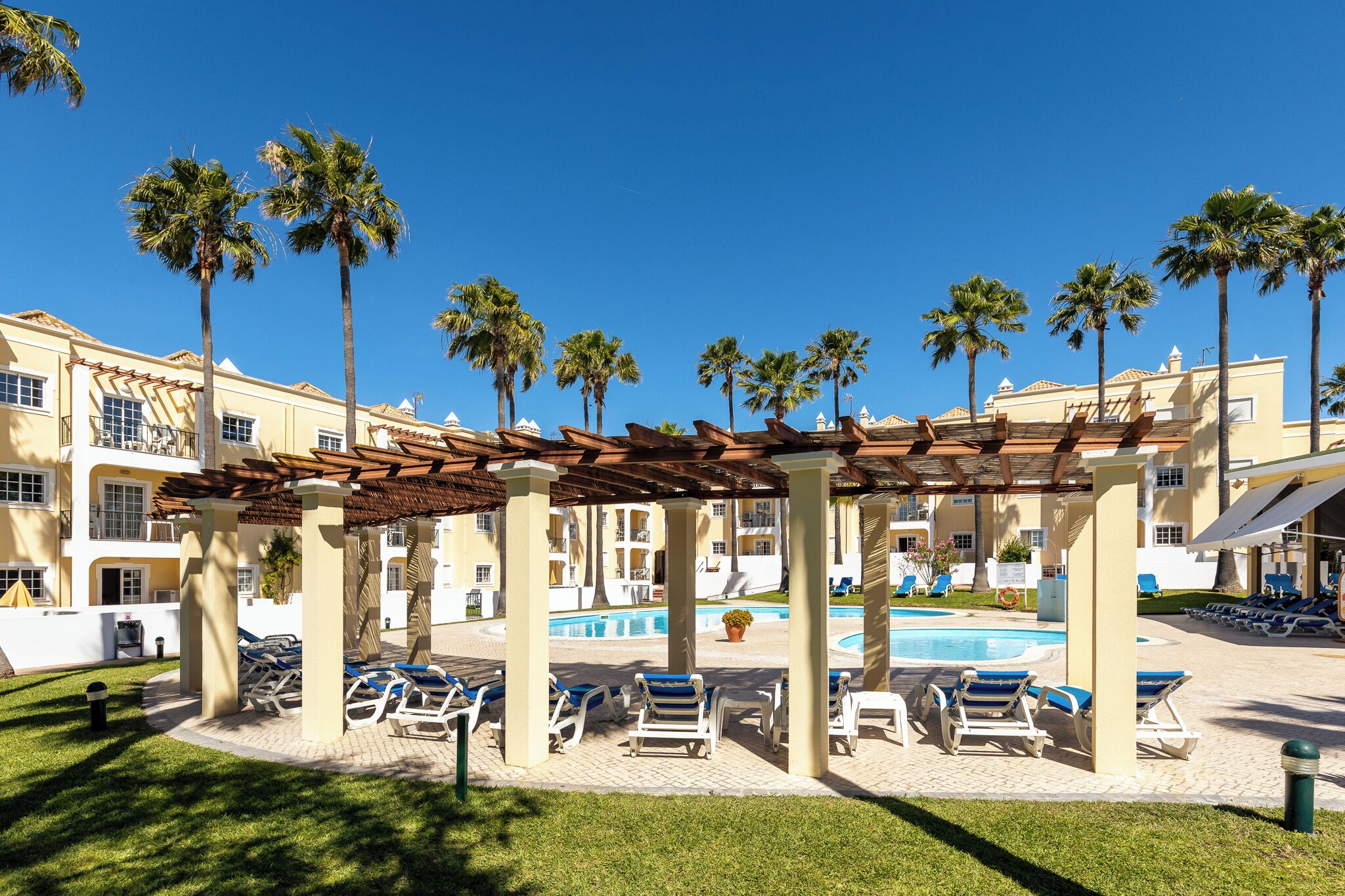 A poolside area with lounge chairs, a pergola, palm trees, and a pool.