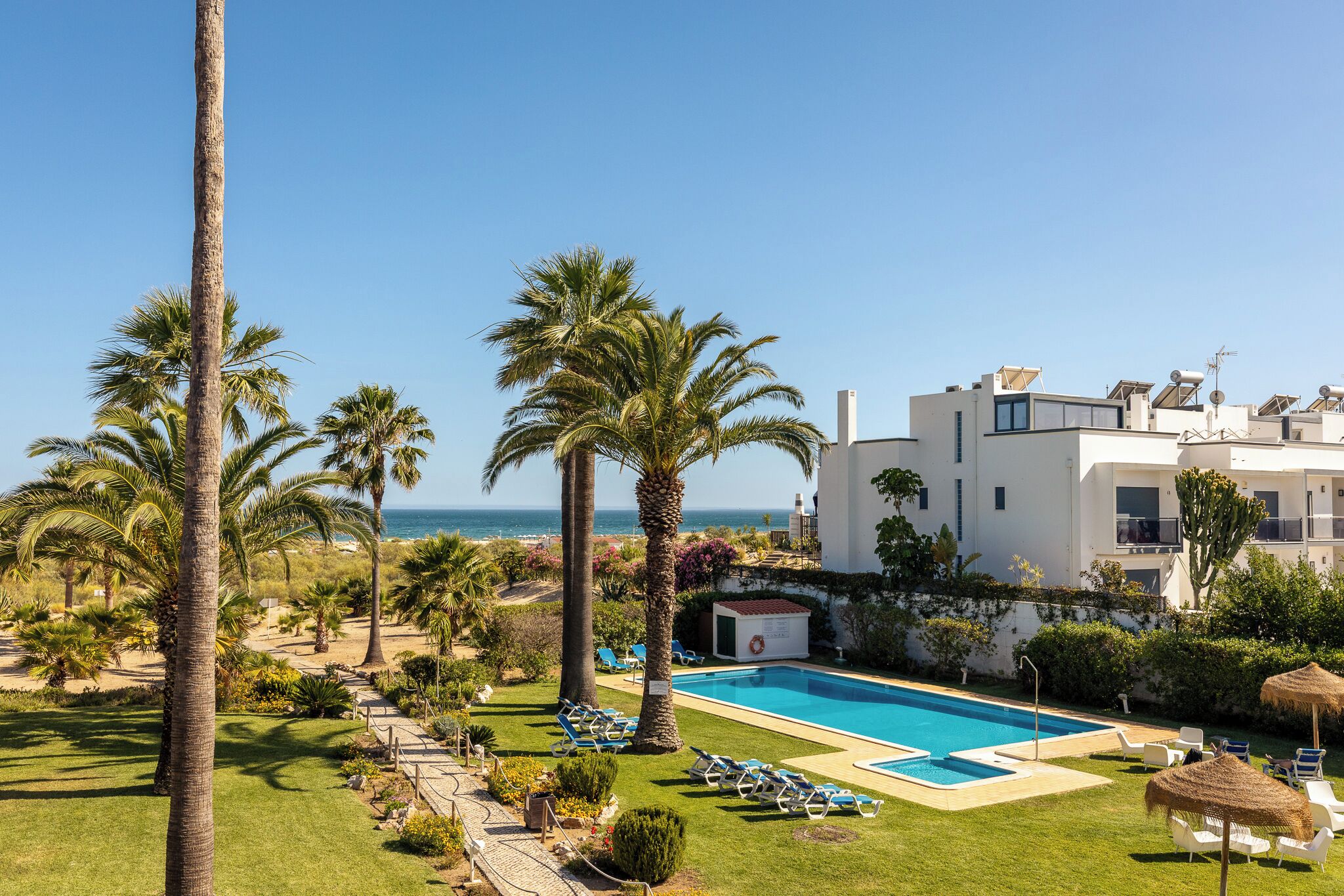 A modern hotel with a swimming pool, palm trees, and a view of the sea.