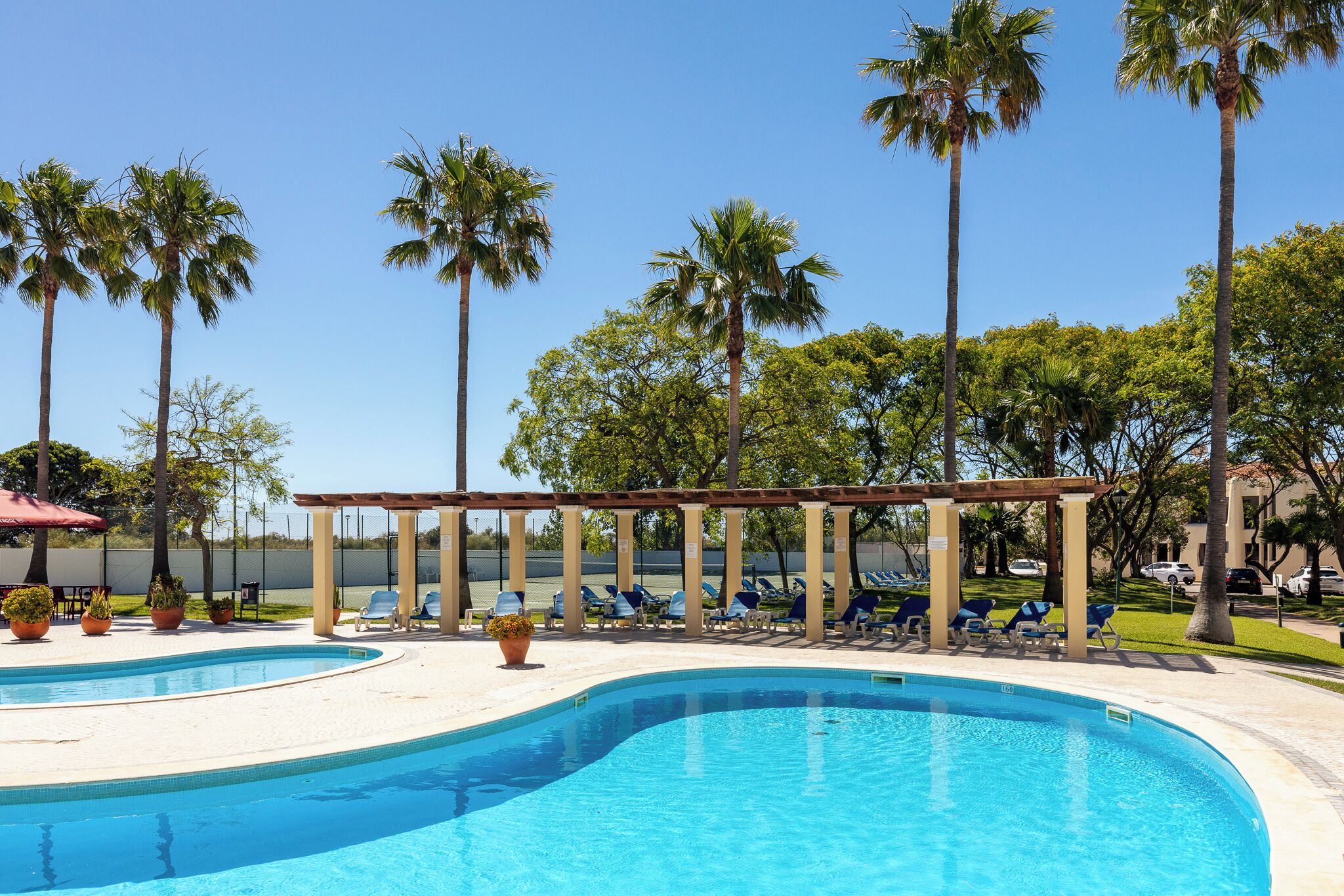 A swimming pool with lounge chairs, palm trees, and a pergola structure.