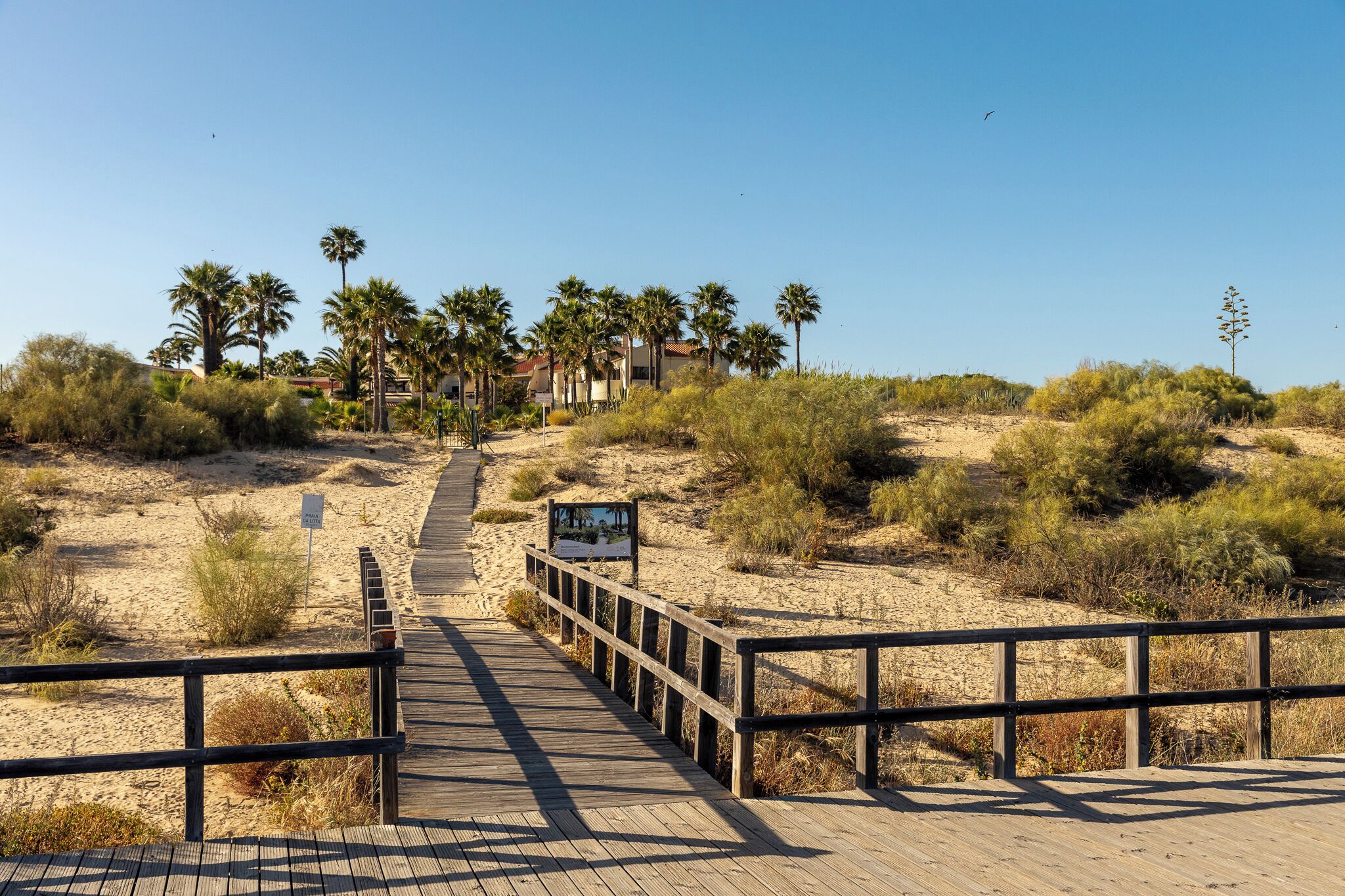 A wooden boardwalk leading to a building with palm trees and a clear sky.