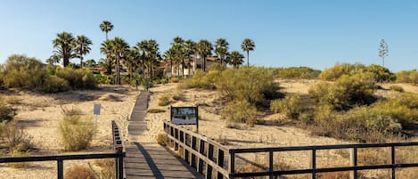 A wooden boardwalk leading to a building with palm trees and a clear sky.