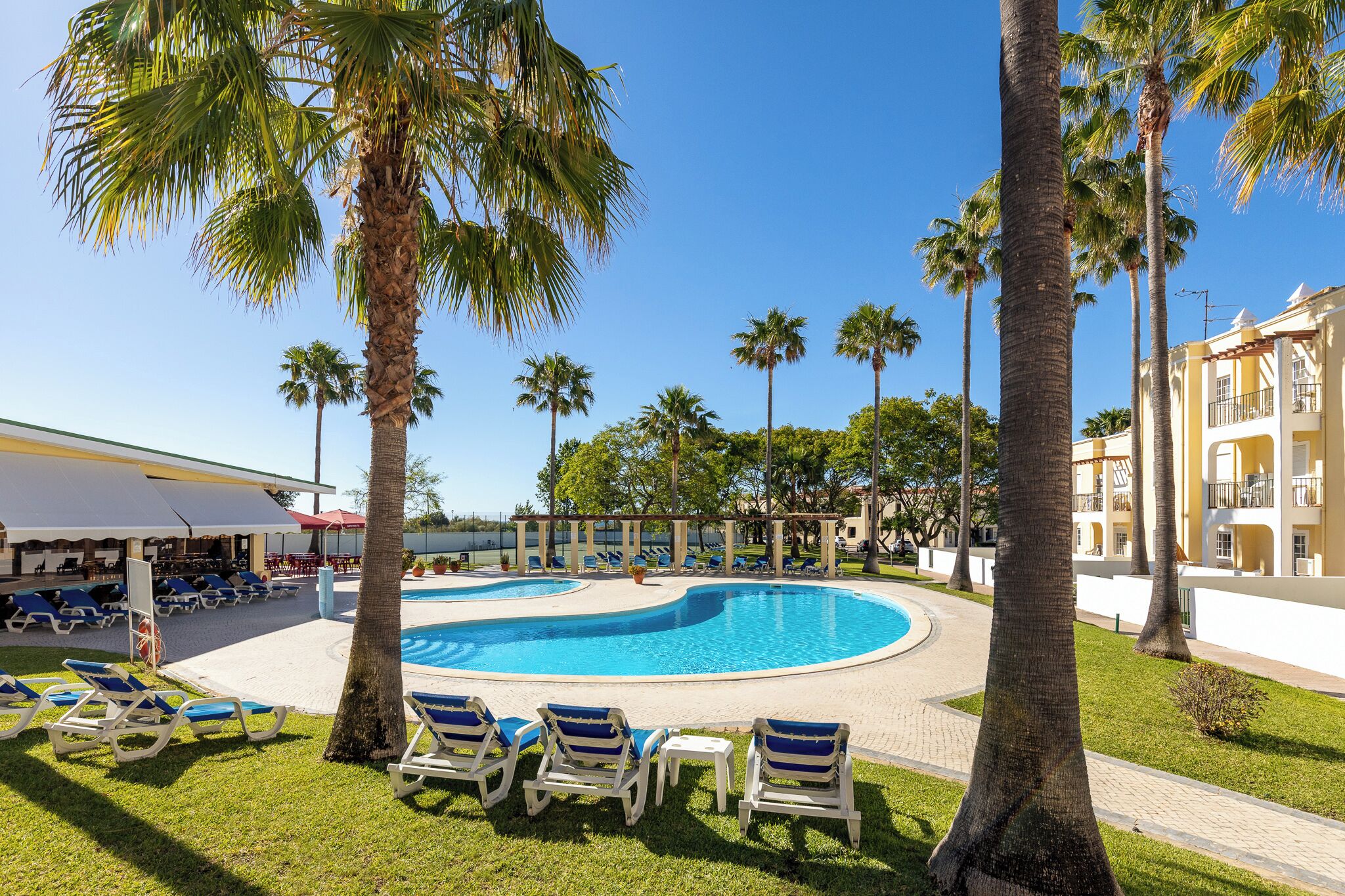 Zona de piscina con sillas de descanso, palmeras y un edificio con balcones.