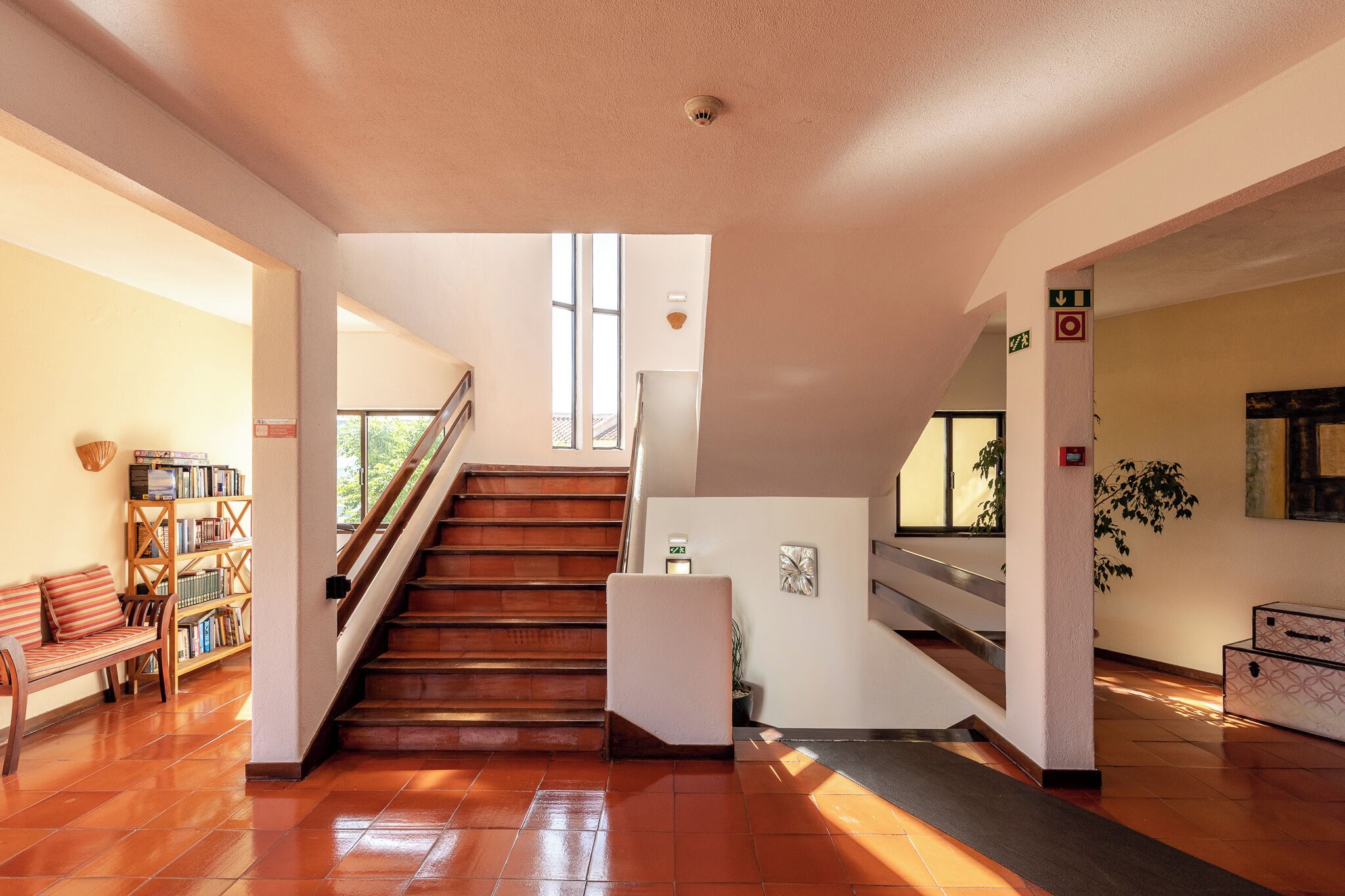 Una escalera que lleva a un piso superior, un banco, una estantería y una planta colocada en la pared.