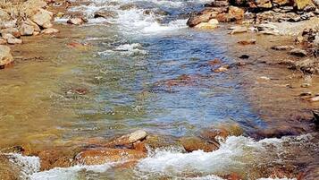 A clear stream flowing through a mountainous area with bare trees and a distant snow-capped peak.