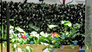 A wooden planter with various flowers, a wicker basket, and a mirror on the wall. - Hostal Pensió Maricel (Sitges)