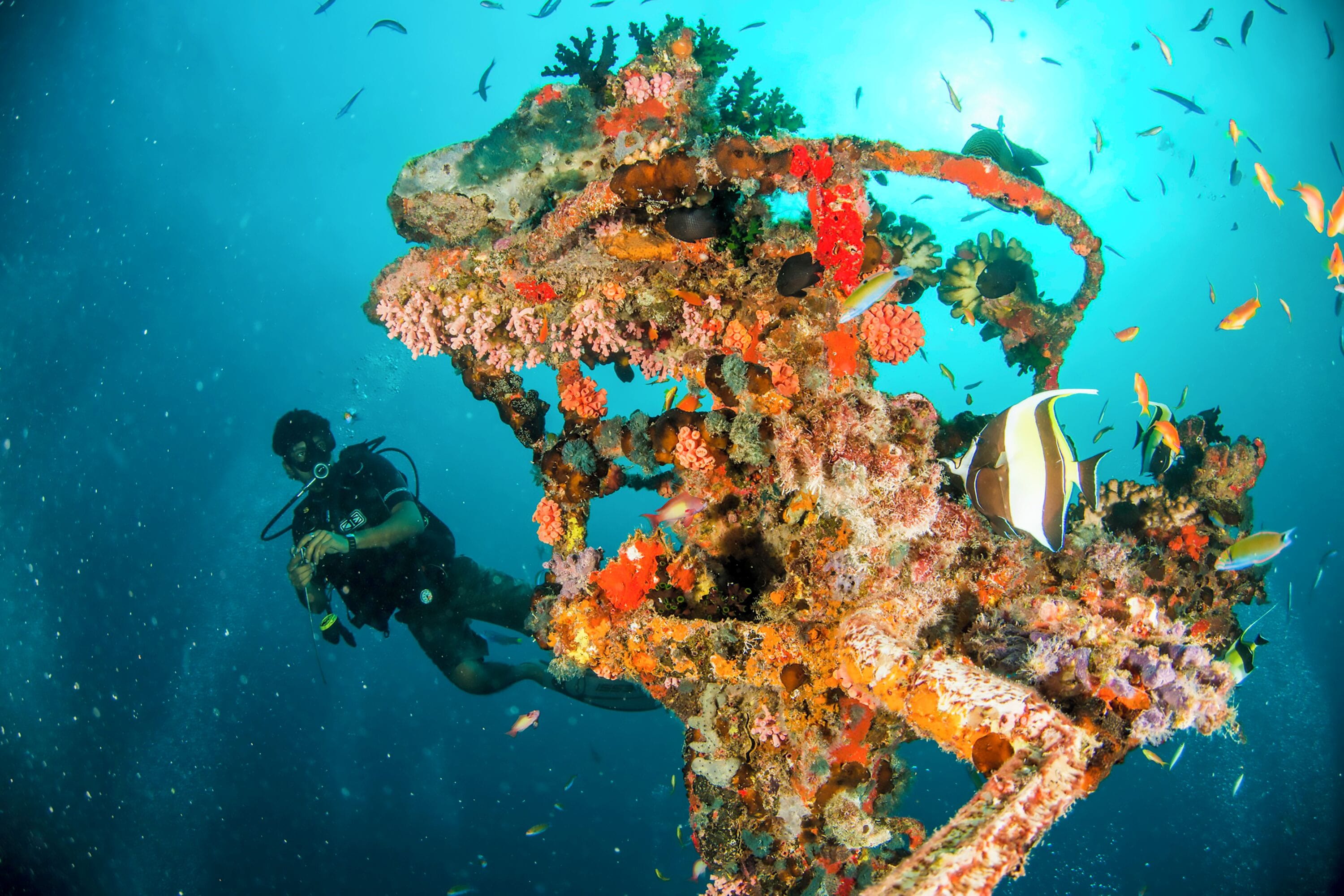 センタラ コレクション マッチャフシ アイランド リゾート & スパ モルディブ - 30 パーセント ディスカウント オン トランスファーズ フォー ミニマム 4 ナイツ ステイ アンド モア バリッド フォー リザベーションズ ビトウィーン 11th フェブラリー ティル 22 ディセンバー 2025 Expedia提供写真