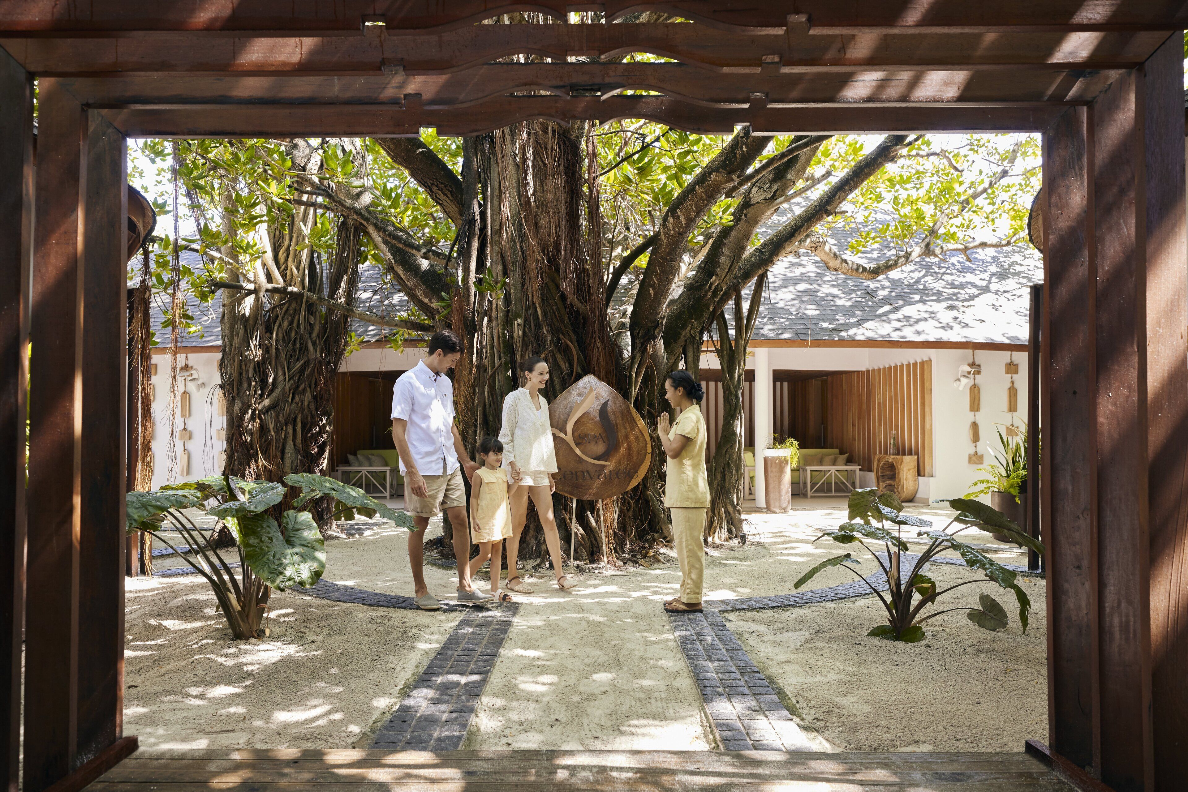 A covered outdoor area with a large tree, a wooden pergola, and a sandy pathway.