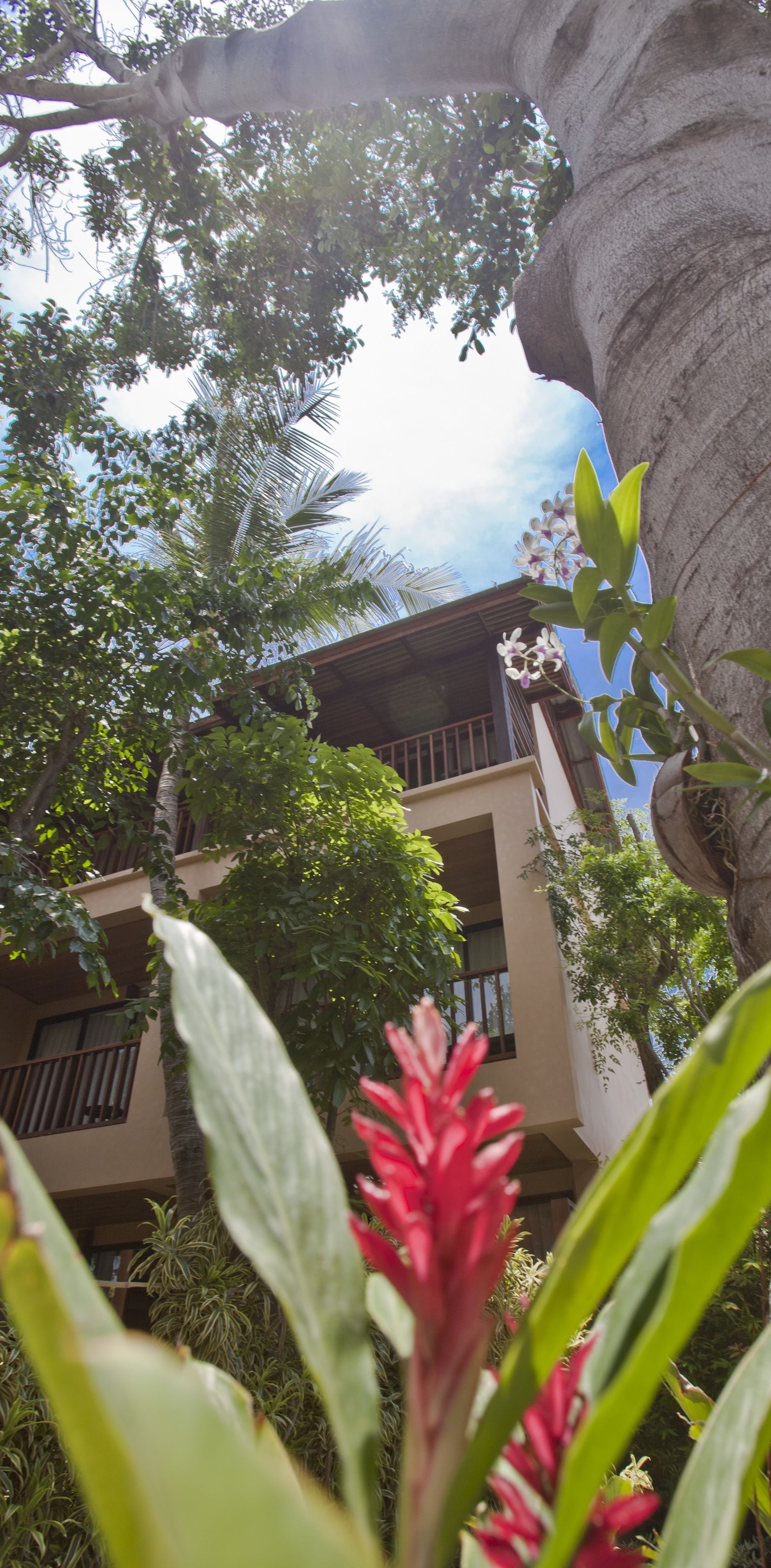 A building with balconies, surrounded by lush greenery and a large rock formation.