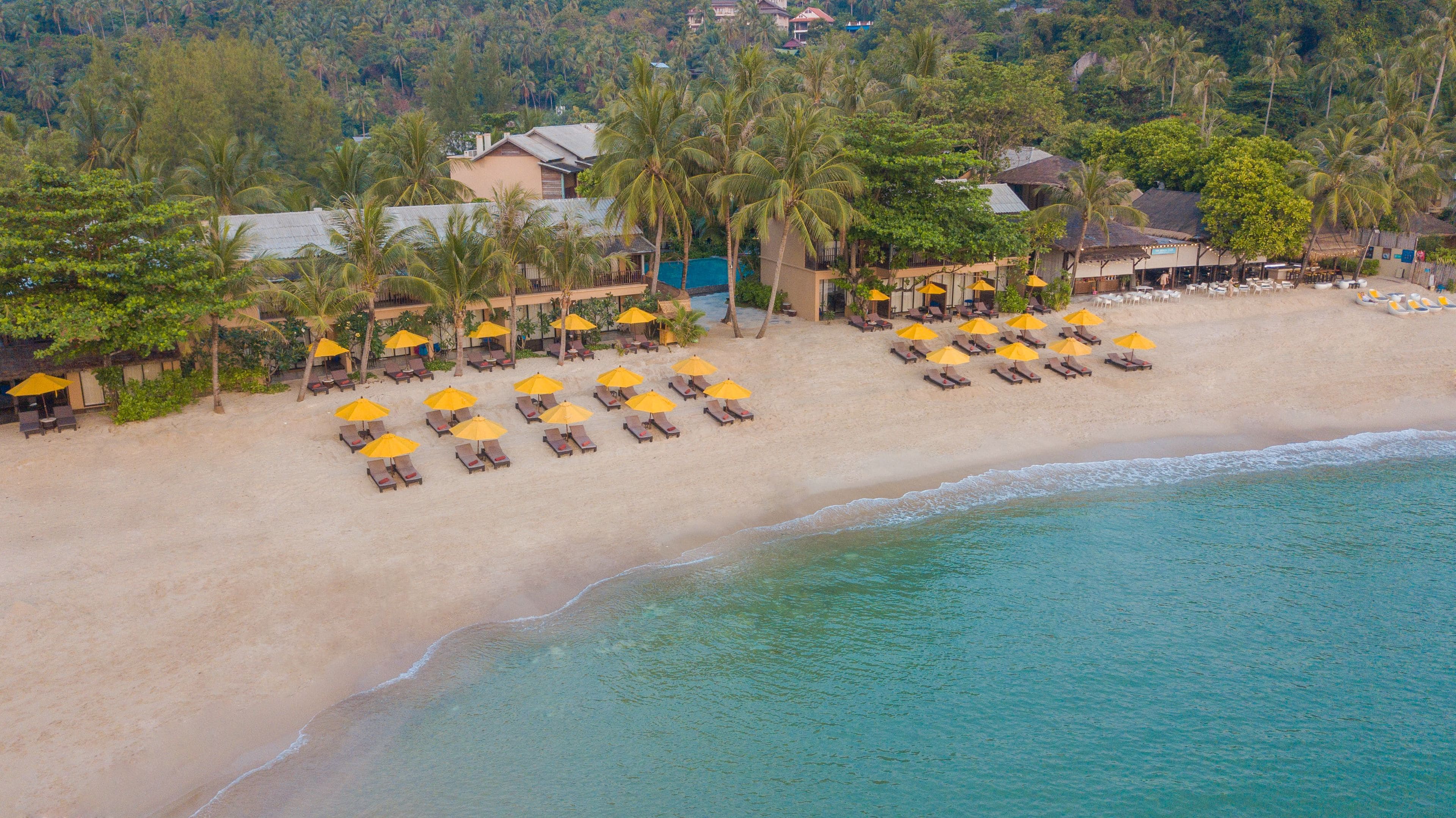 An aerial view of a beach with rows of sun loungers and umbrellas, a sandy shore, and buildings in the background.