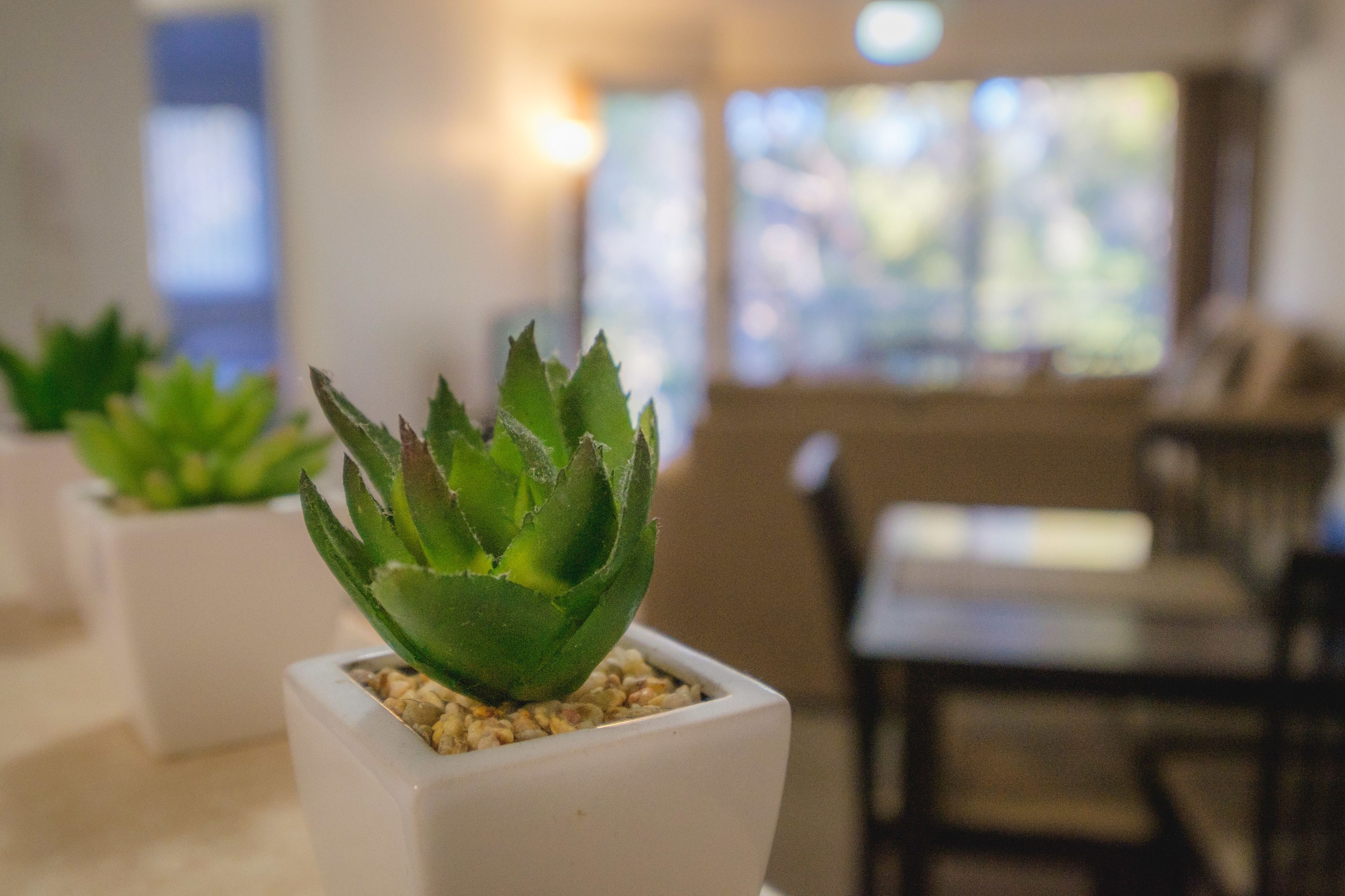 Sanctuary Lake Apartments — image 30