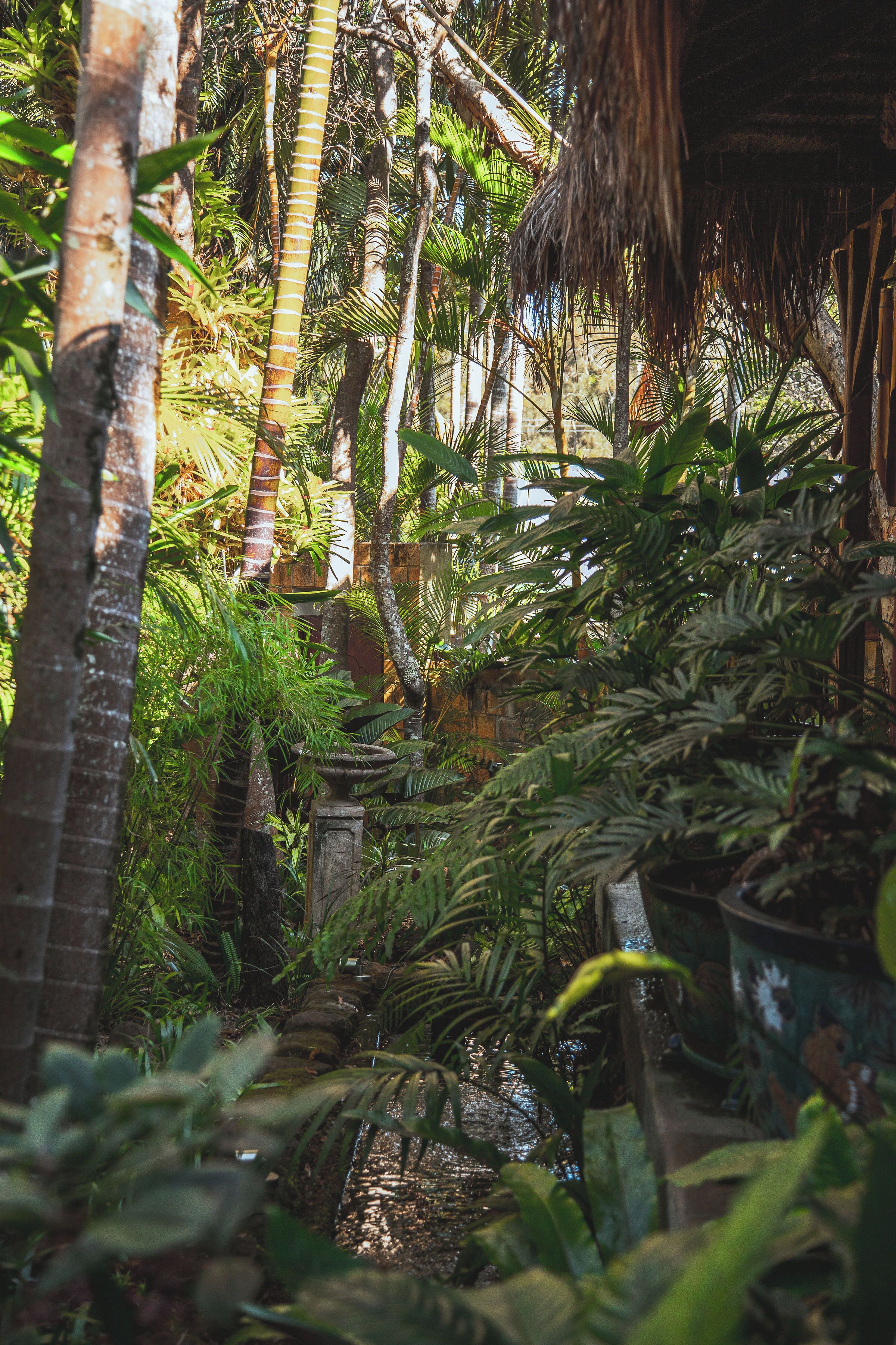 Un exuberante jardín con diversas plantas y una estructura de techo de paja.