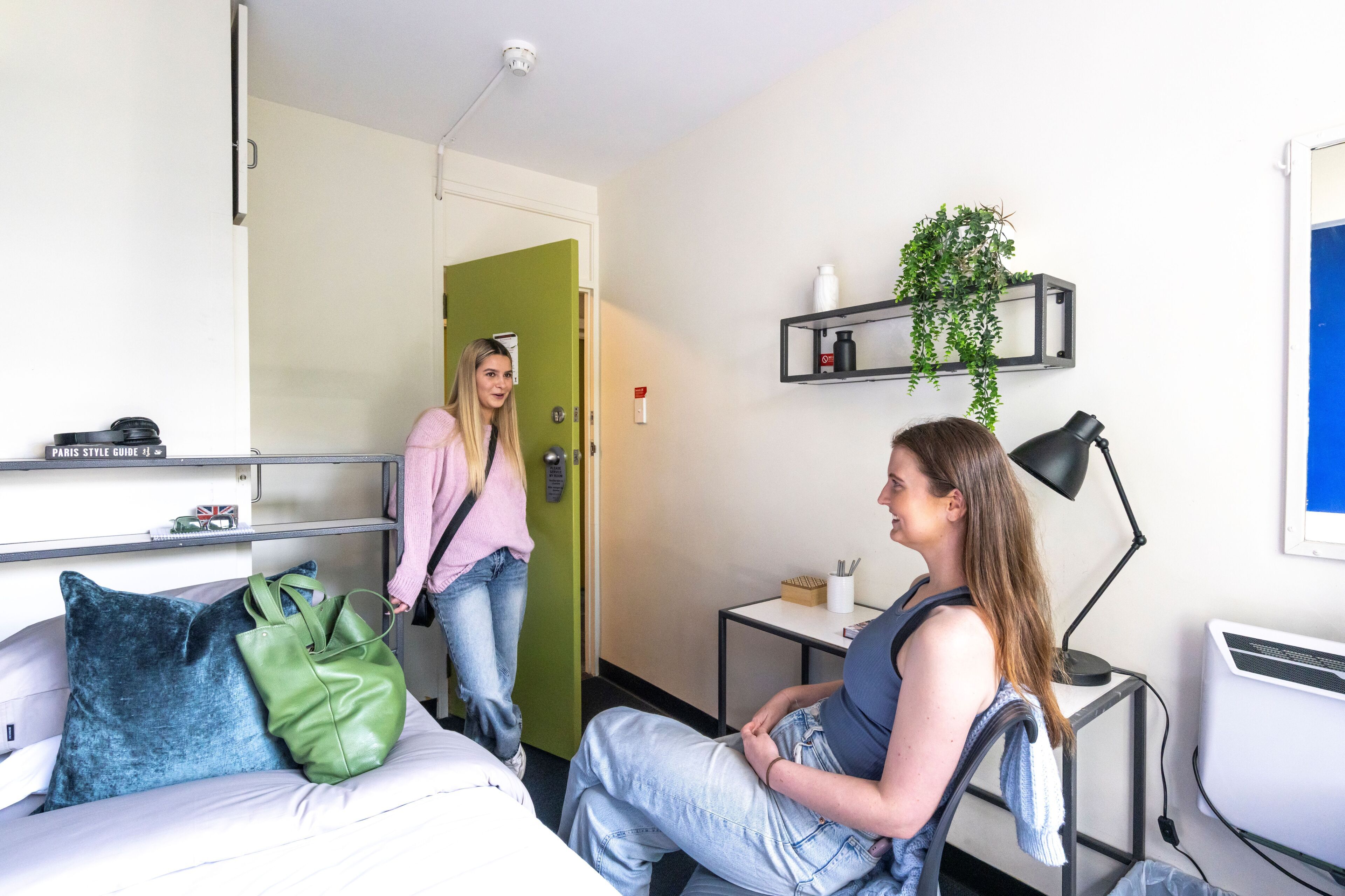 A hotel room with a bed, a desk with a computer, a green door, and a shelf with plants.