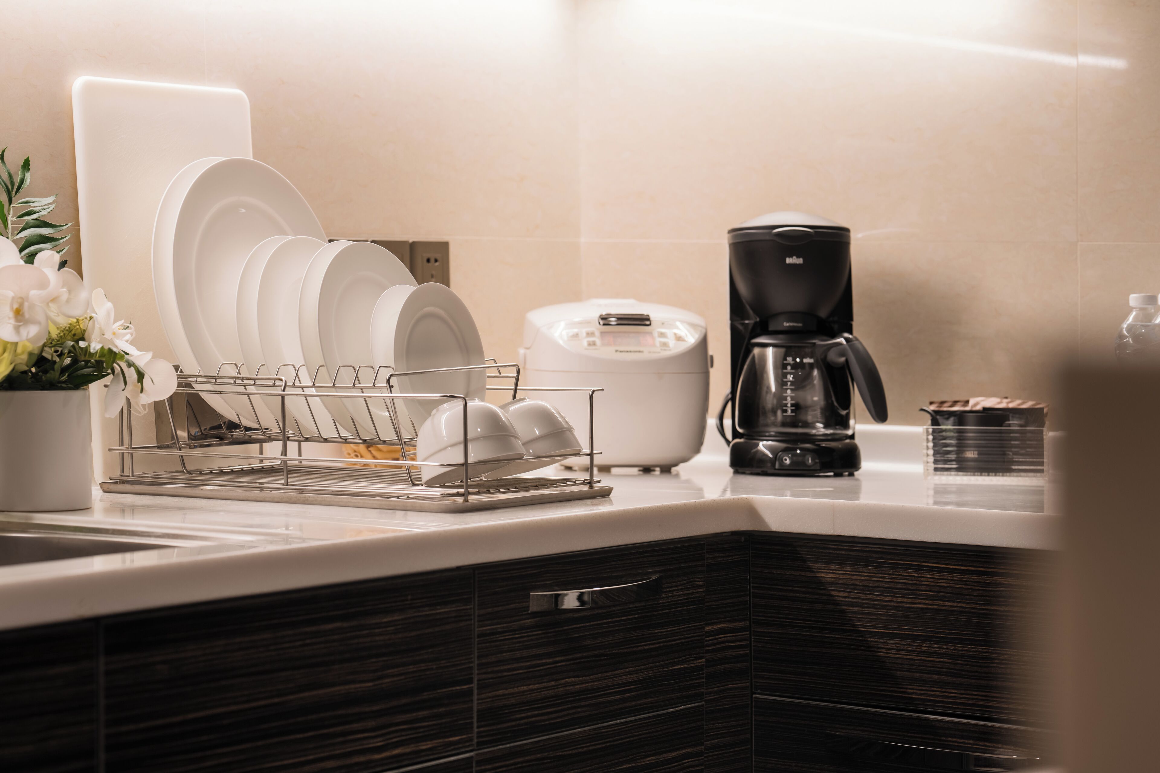 A modern kitchen with a dish rack, coffee maker, and a potted plant.