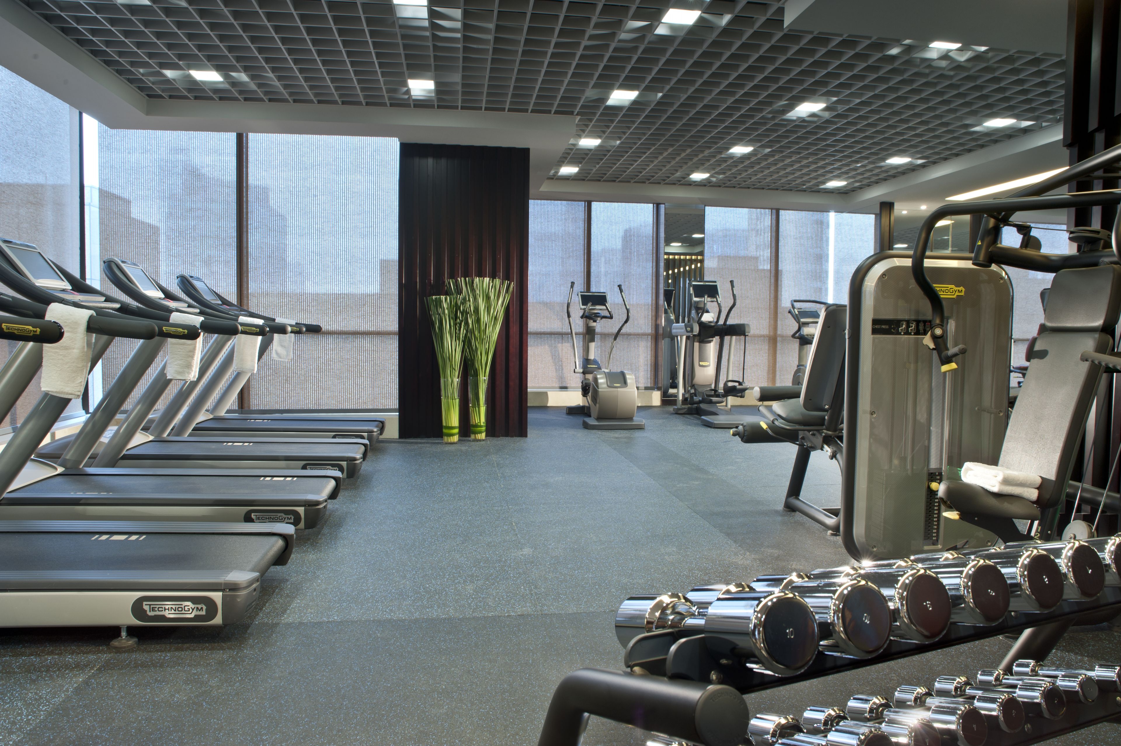 A gym with treadmills, dumbbells, and exercise machines.