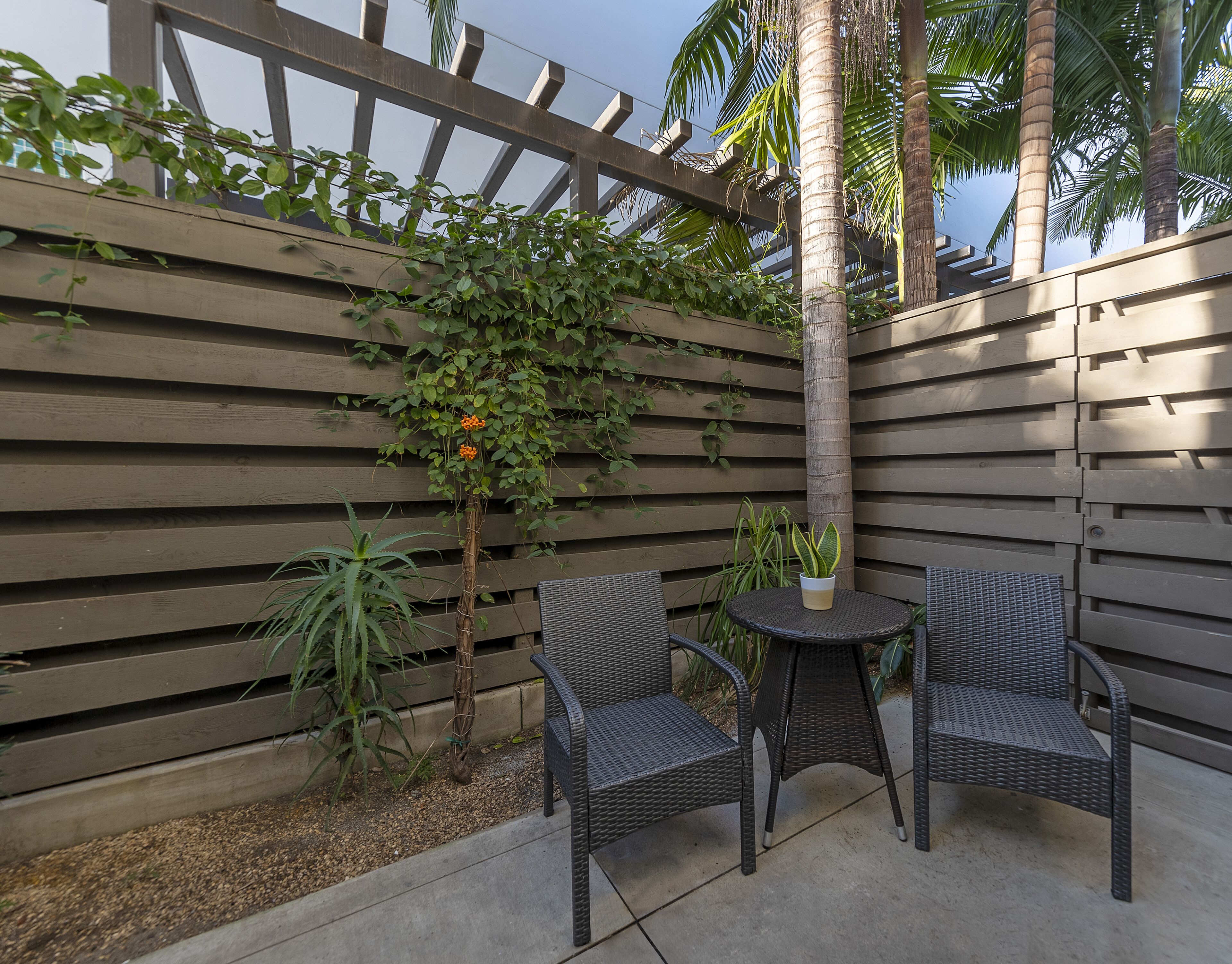 A patio with two wicker chairs, a small round table, and a potted plant.