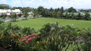 A lush green lawn with palm trees and flowering plants, surrounded by white buildings with a clear sky above.