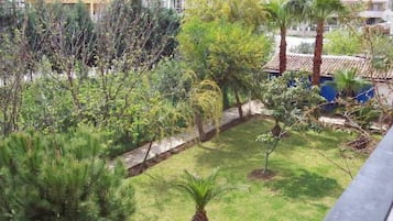 Vista des de l'allotjament