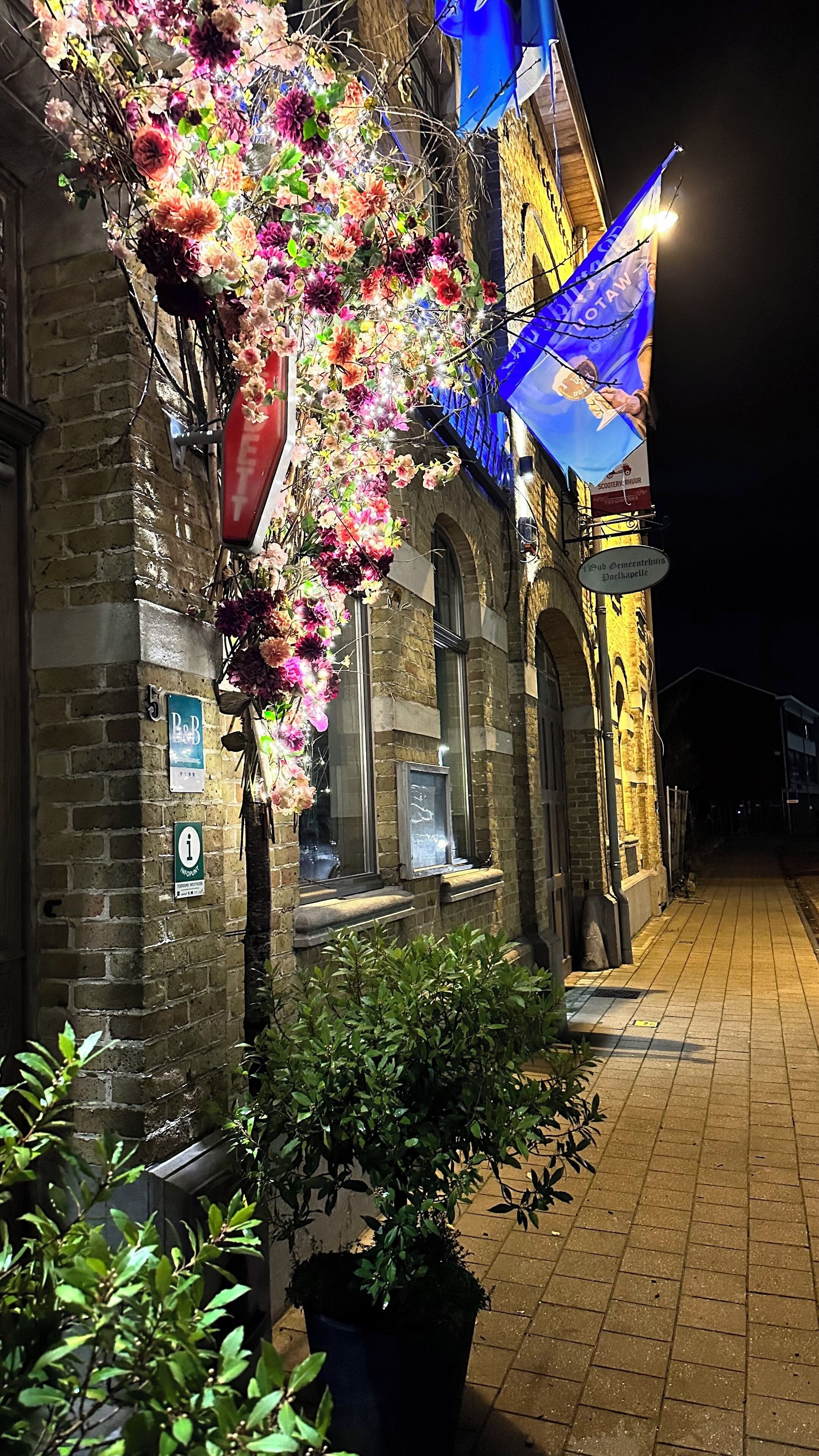 住宿正面 (夜晚)