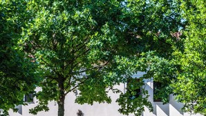 Ein Gebäude mit Bogenfenstern, einer Holztür und einer Bank im Garten.