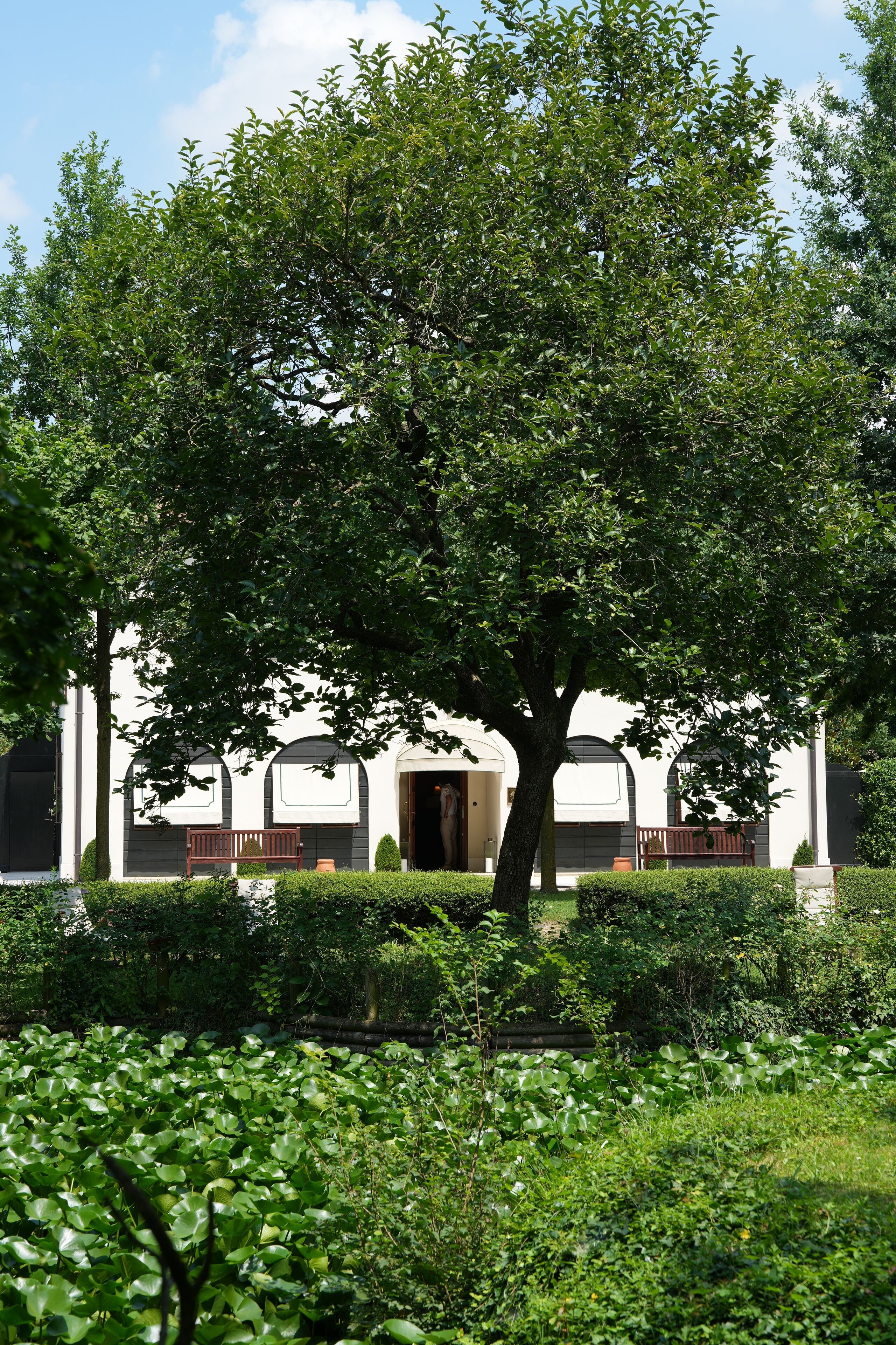 Foto - Fiori e Frutti Hotel Agriresort Venezia Mestre