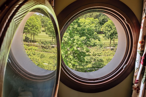 Camera Deluxe | View from room