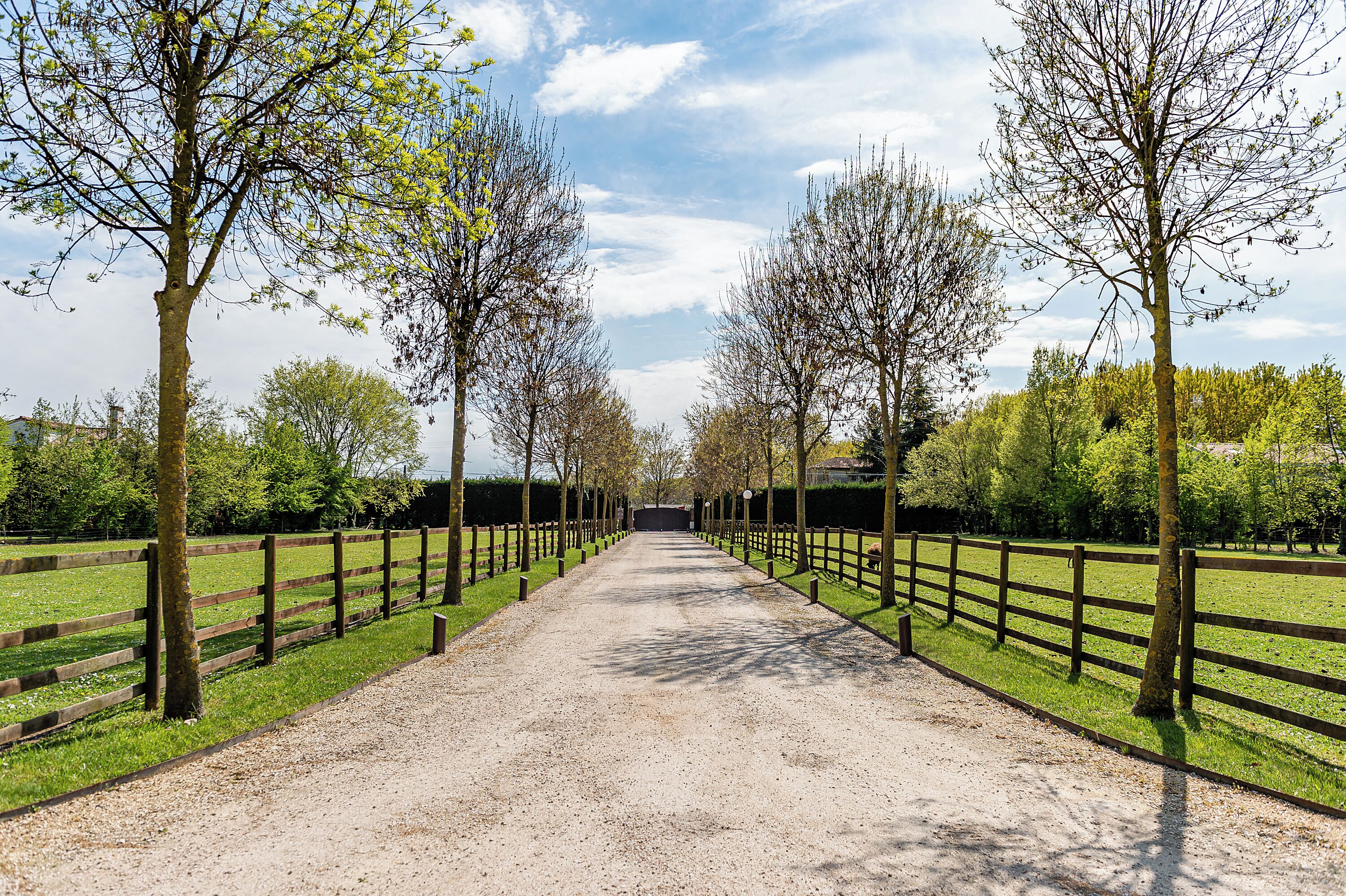 Foto - Fiori e Frutti Hotel Agriresort Venezia Mestre