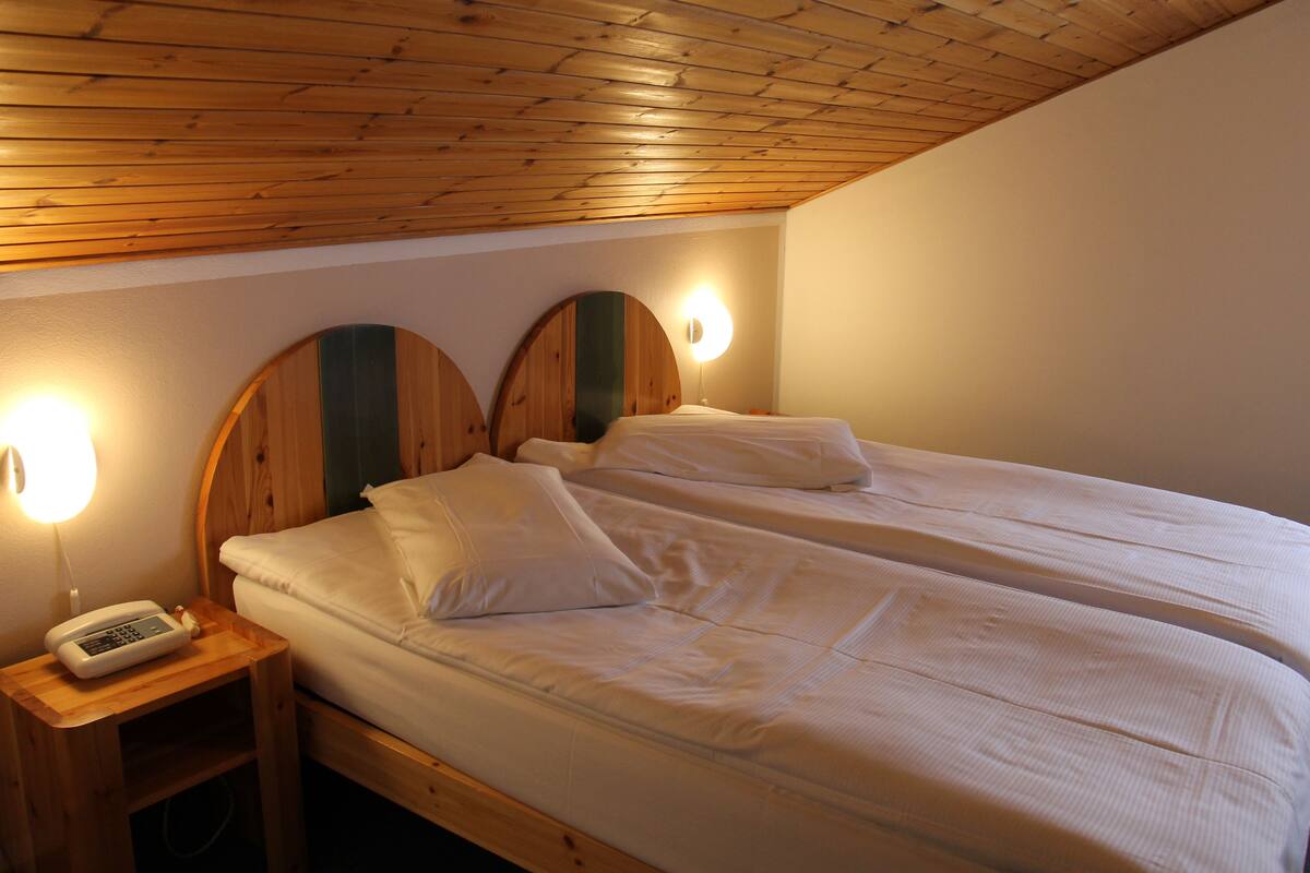 Economy Twin Room, 2 Single Beds | Desk, blackout curtains, rollaway beds, free WiFi