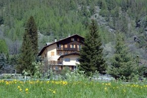 Front of property - Mont Velan (Saint-Oyen)