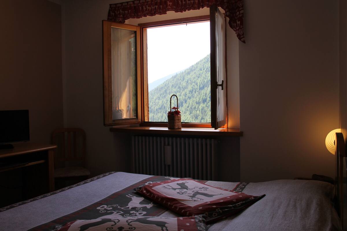 Comfort Double or Twin Room, 1 Bedroom, Accessible, Mountain View | Desk, blackout drapes, rollaway beds, free WiFi