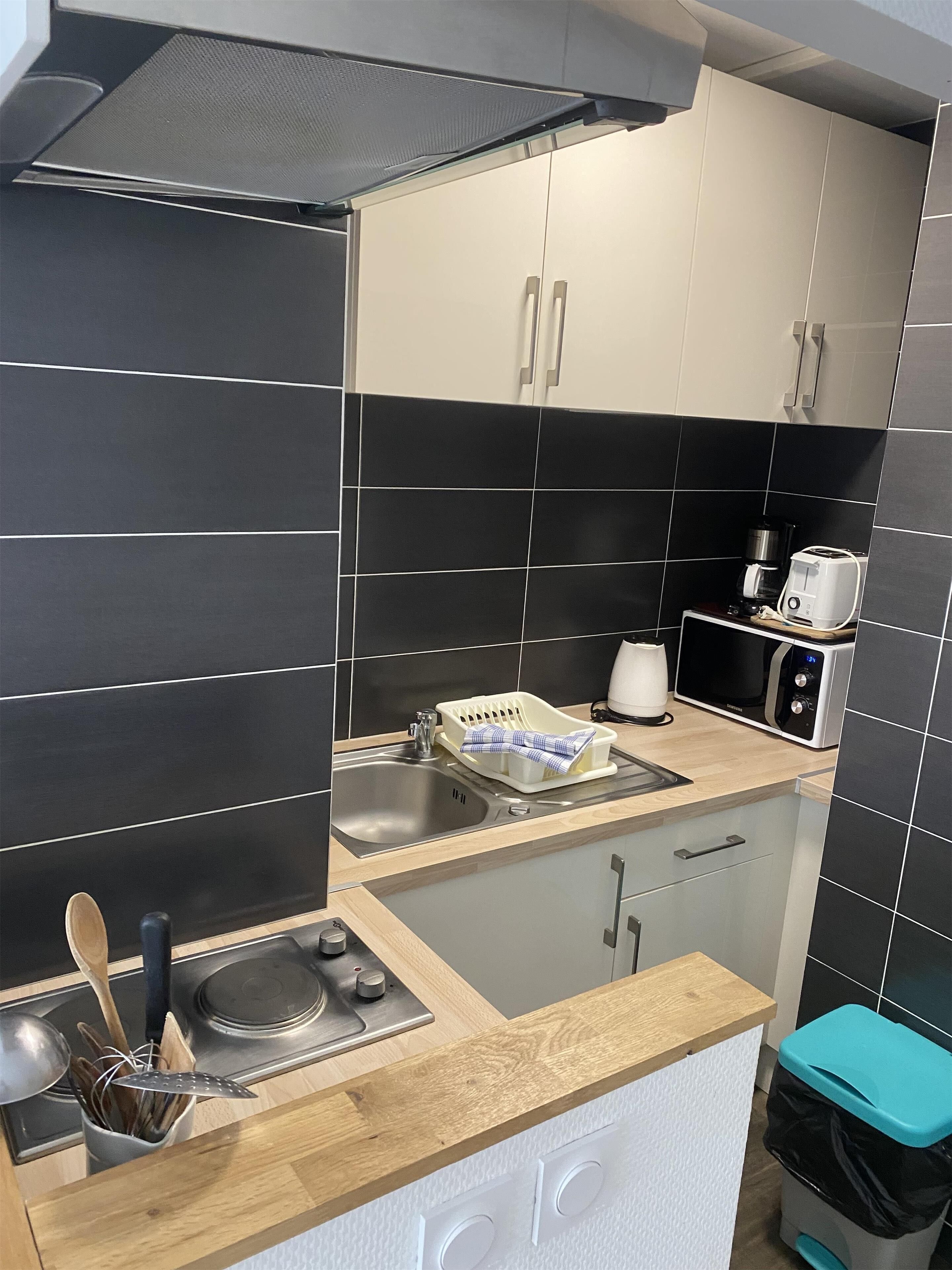 standard apartment, 1 queen bed, non smoking, kitchen | private kitchenette