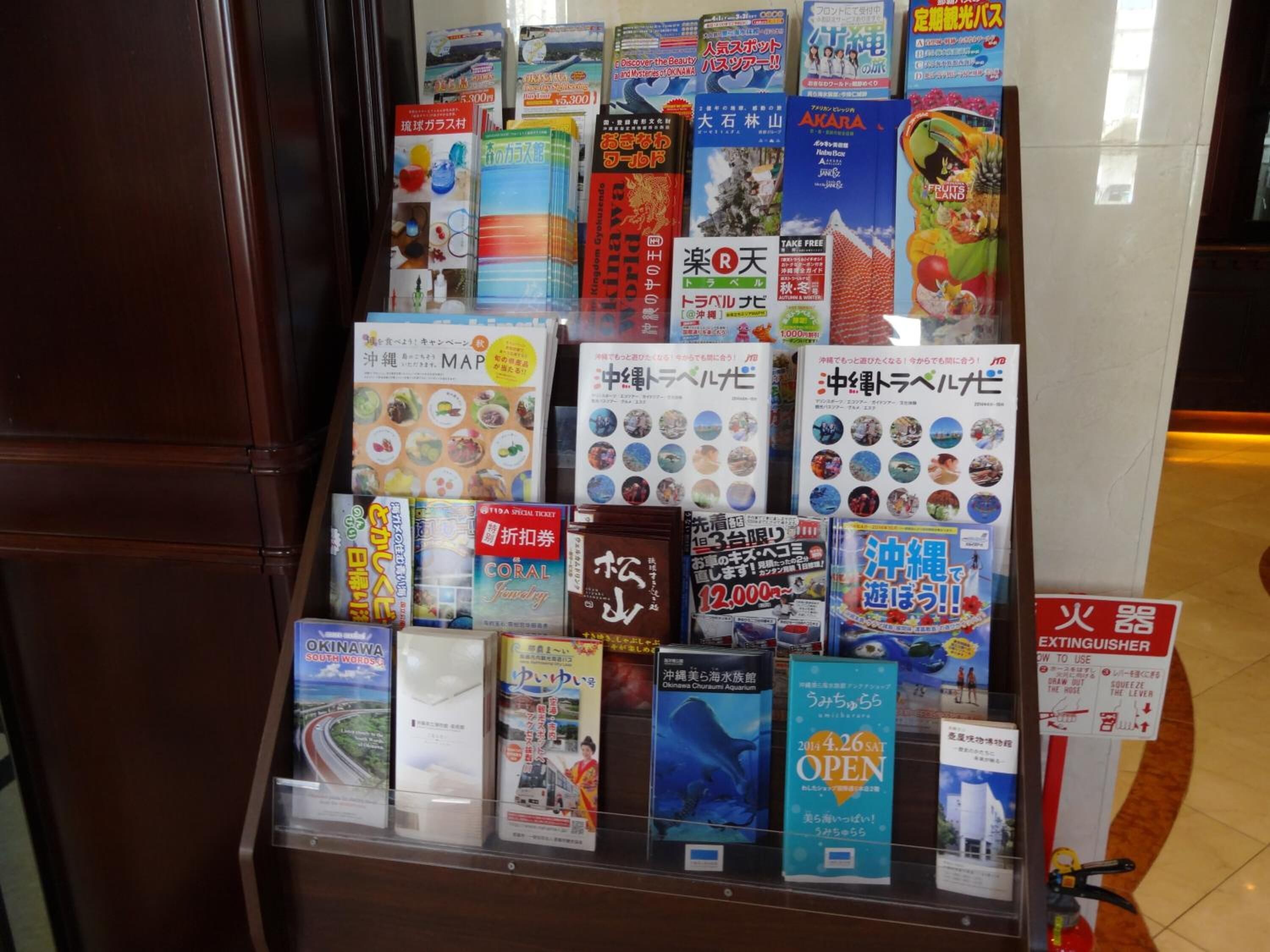 Una exposición de diversos libros y folletos de viajes en una librería.