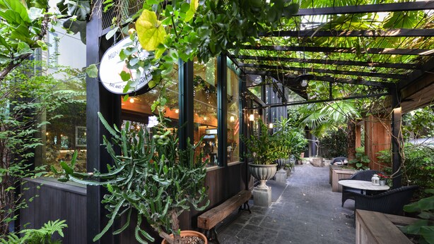 Un espace extérieur aménagé en patio, avec un banc en bois, des plantes en pot et une structure en forme de pergola.