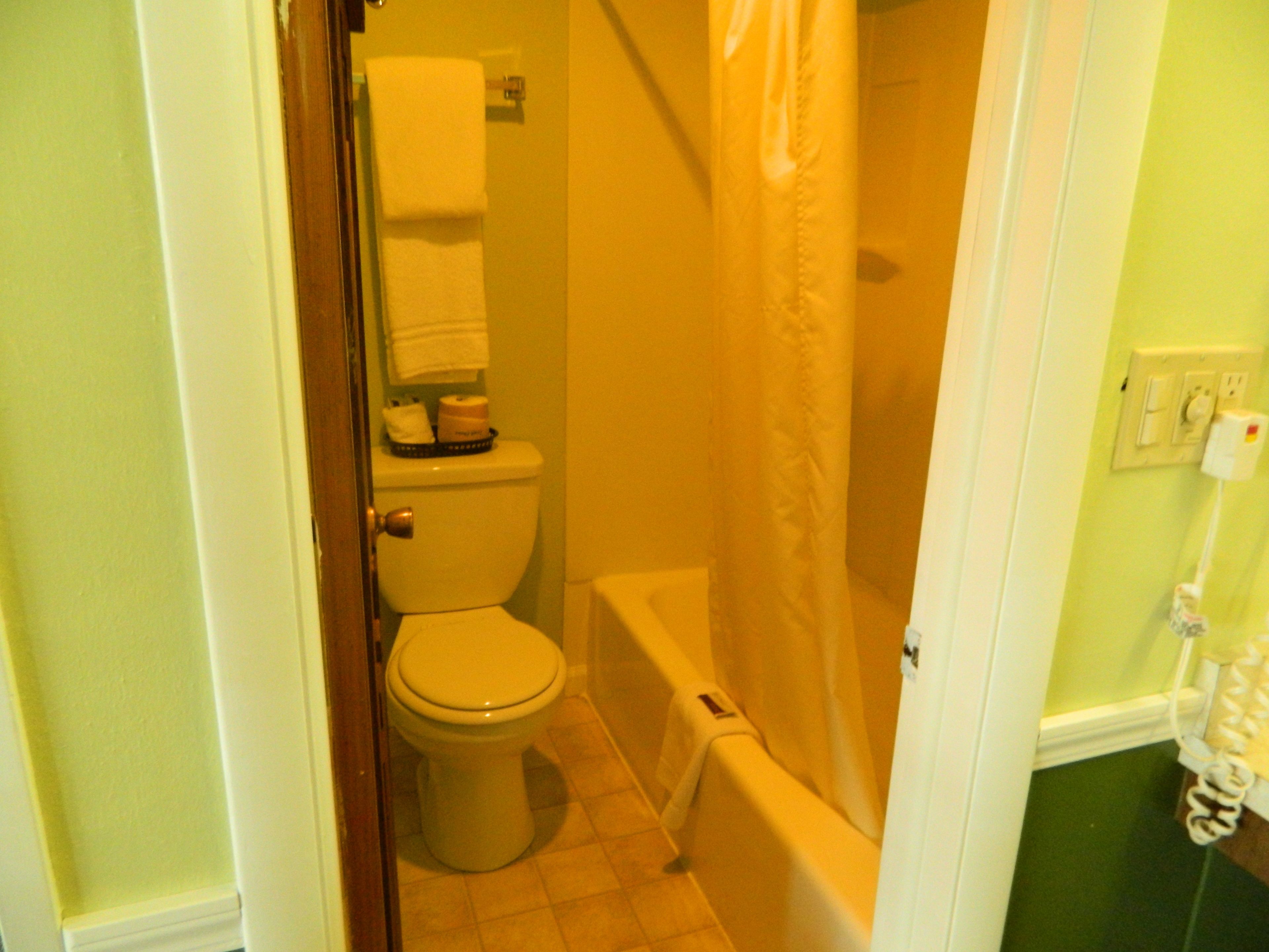 A bathroom with a toilet, a bathtub, and a shower curtain.