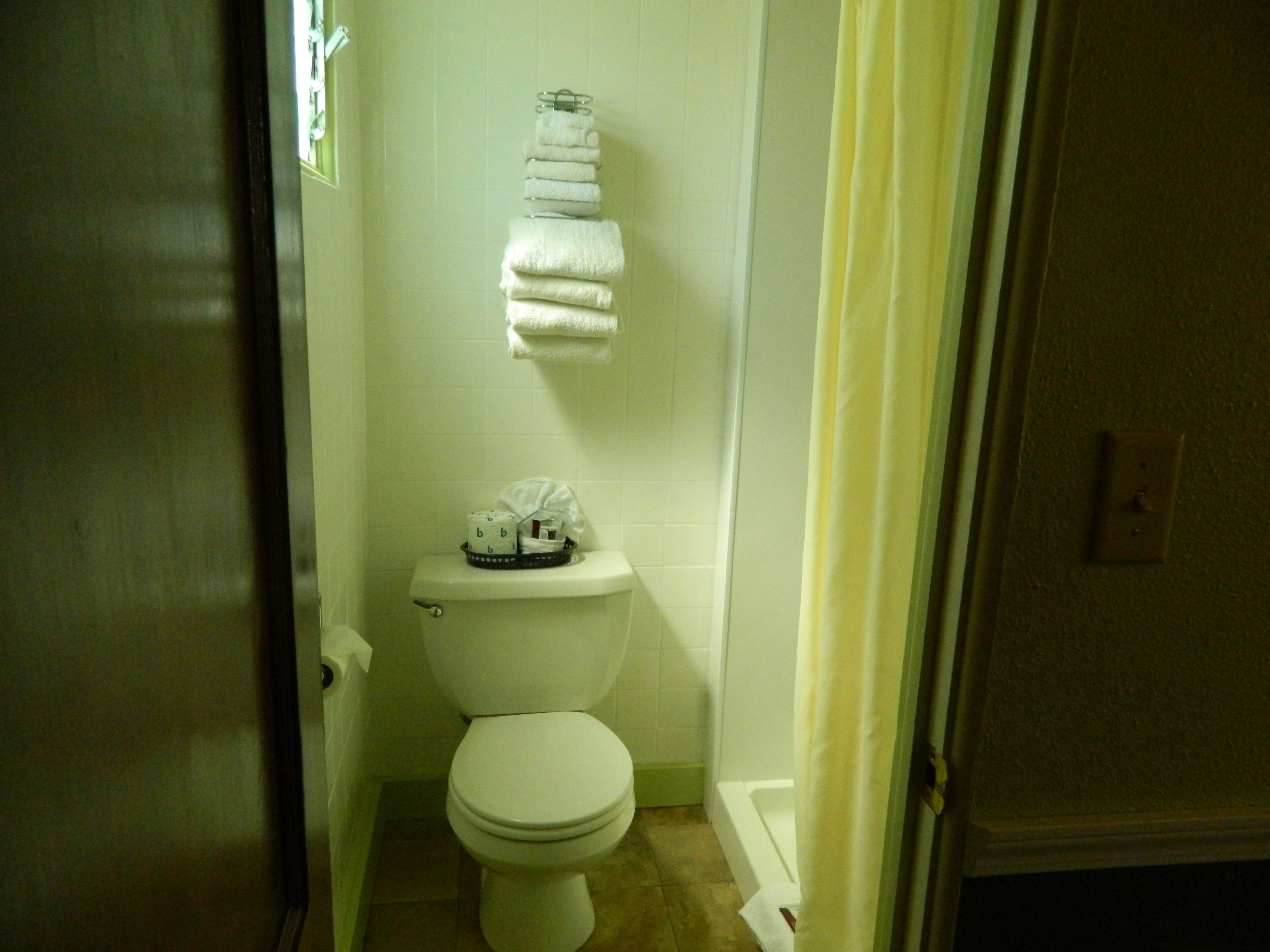 A small, clean bathroom with a toilet, a towel rack, and a shower curtain.
